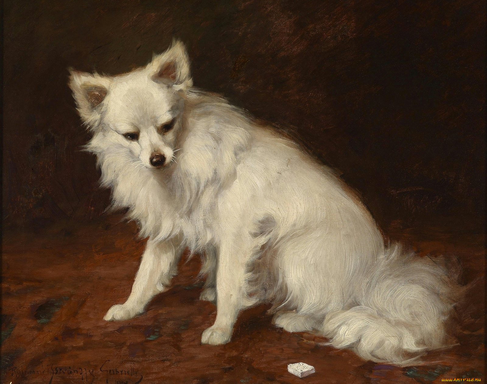 рисованные, gabrielle, rainer, istvanffy