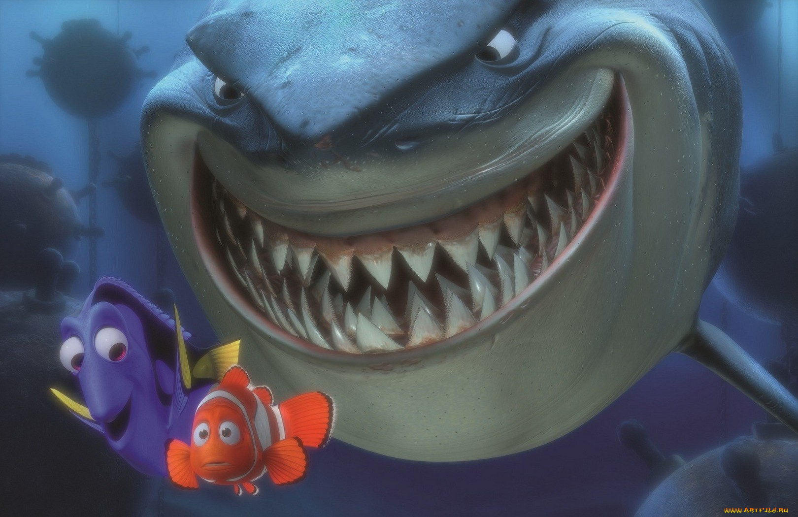 finding, nemo, мультфильмы, в, поисках, немо
