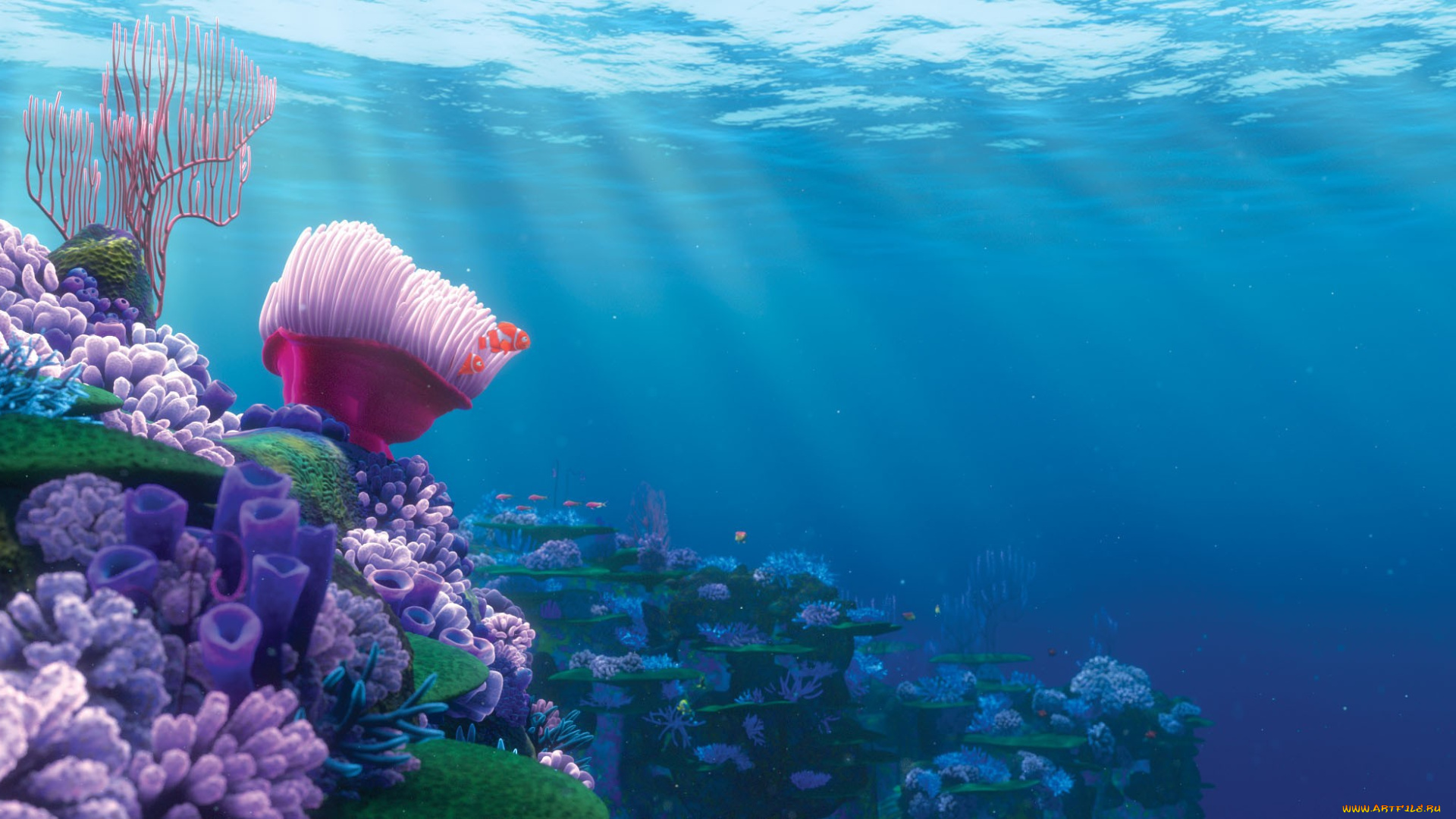 finding, nemo, мультфильмы, в, поисках, немо
