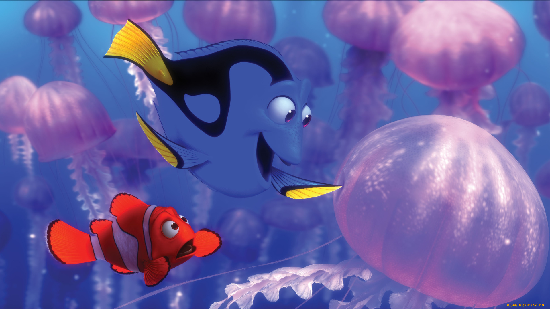 finding, nemo, мультфильмы, в, поисках, немо