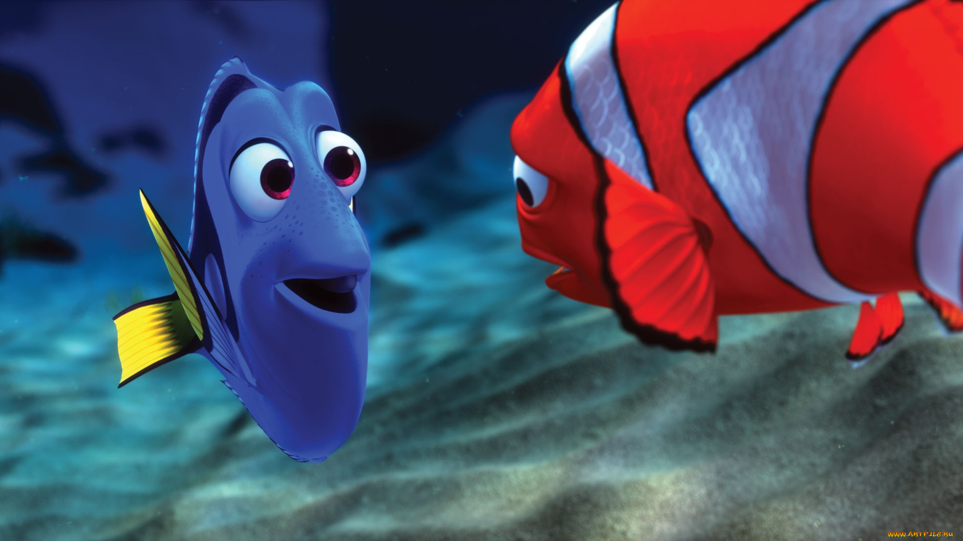 finding, nemo, мультфильмы, в, поисках, немо
