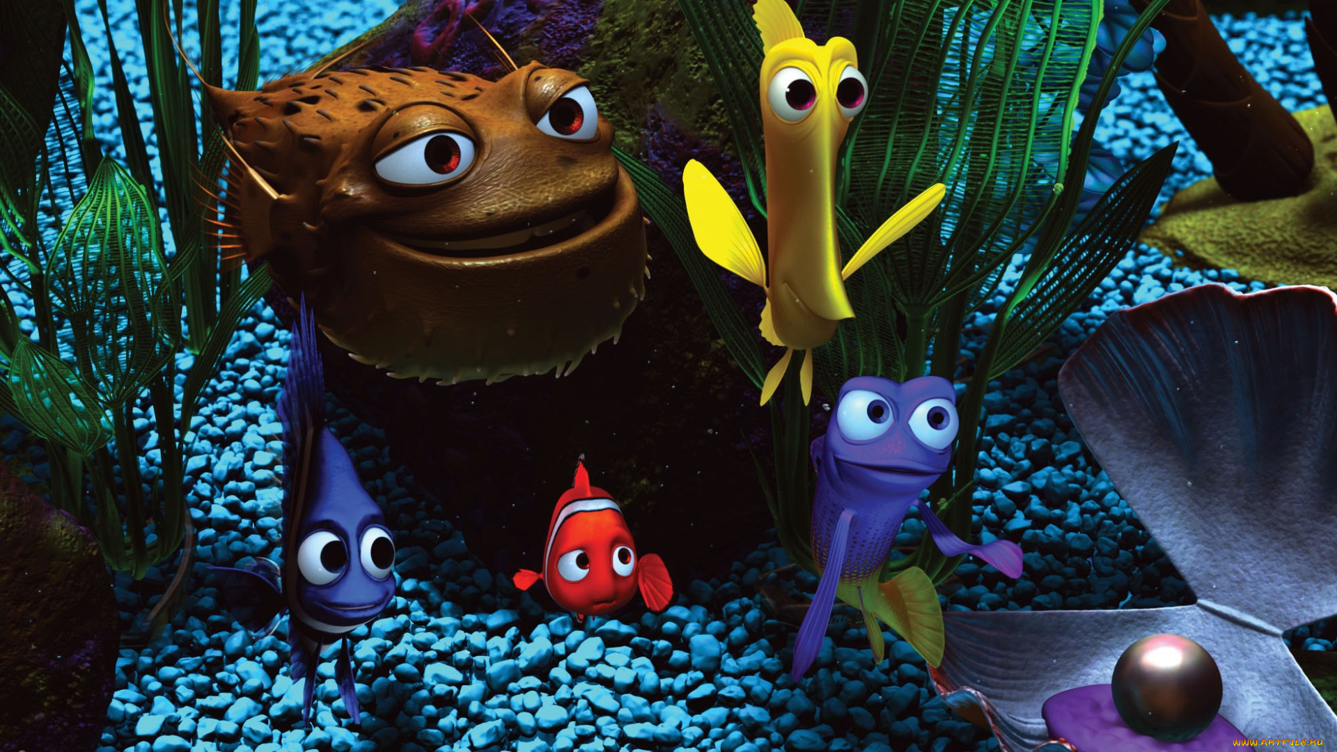 finding, nemo, мультфильмы, в, поисках, немо