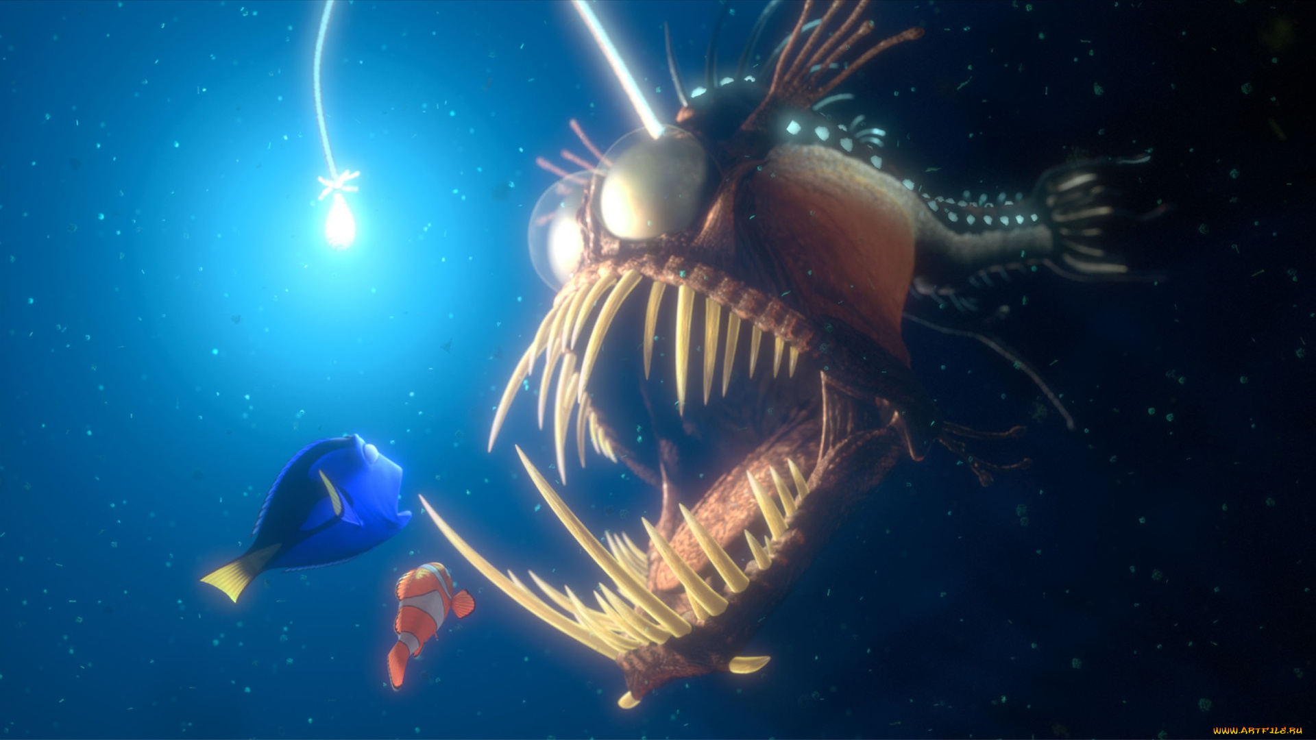 finding, nemo, мультфильмы, в, поисках, немо