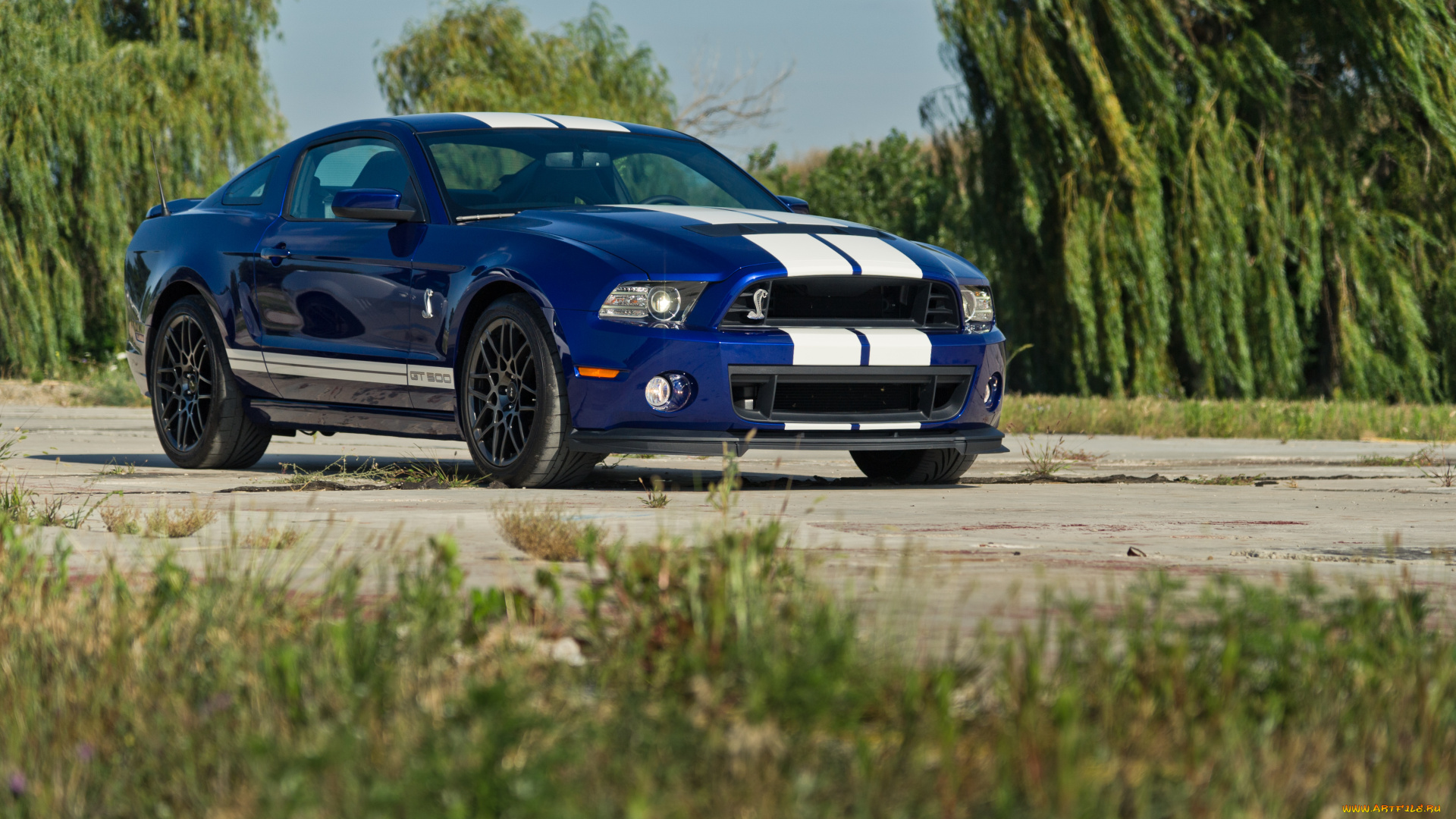 ford, mustang, shelby, gt500, автомобили, мустанг, форд, синий