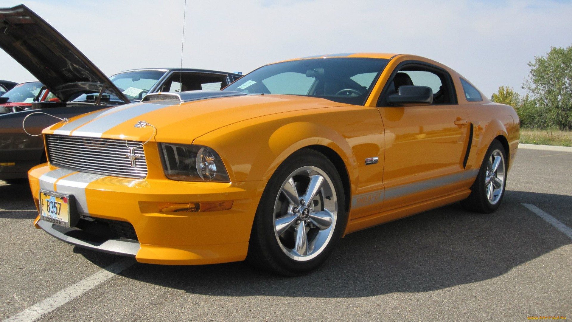 mustang, shelby, gt500, автомобили, выставки, уличные, фото, желтый, мустанг, форд