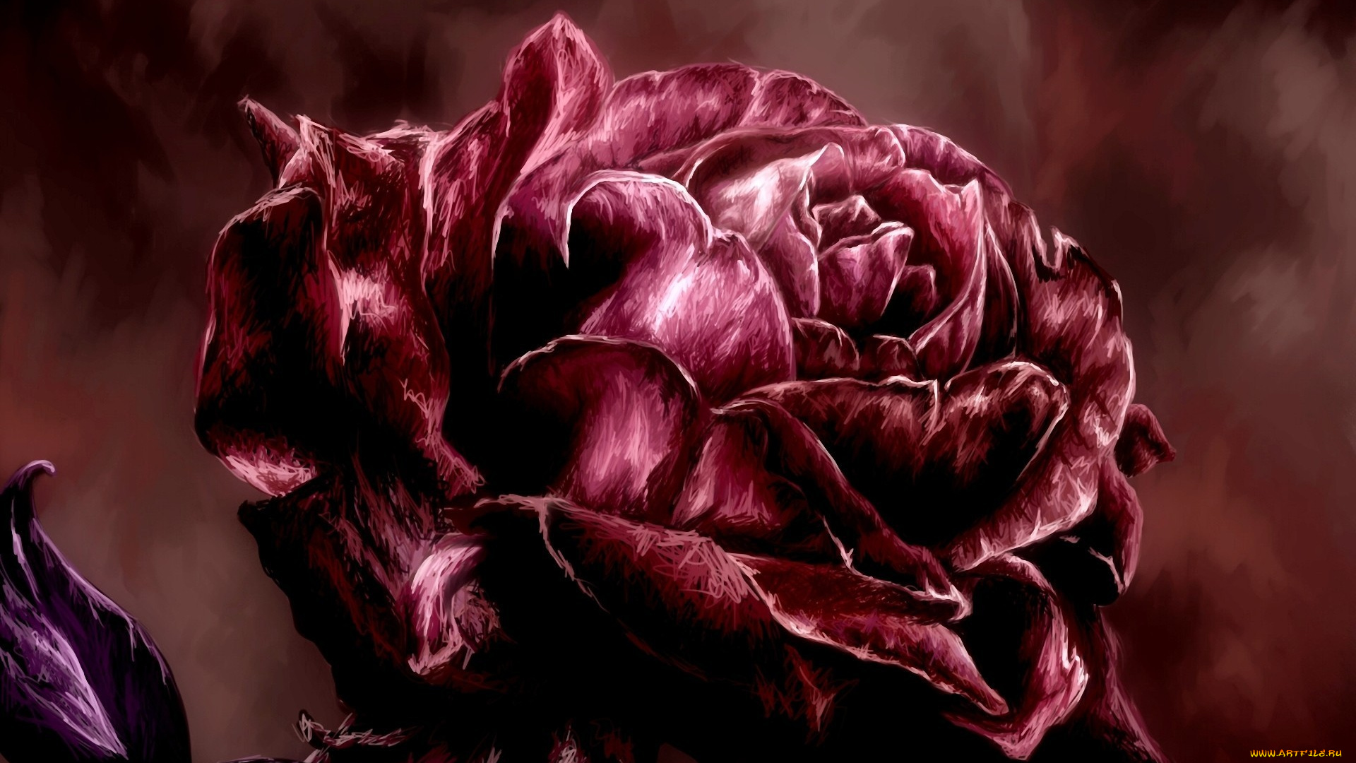 рисованные, цветы, роза, живопись, красная, лепестки