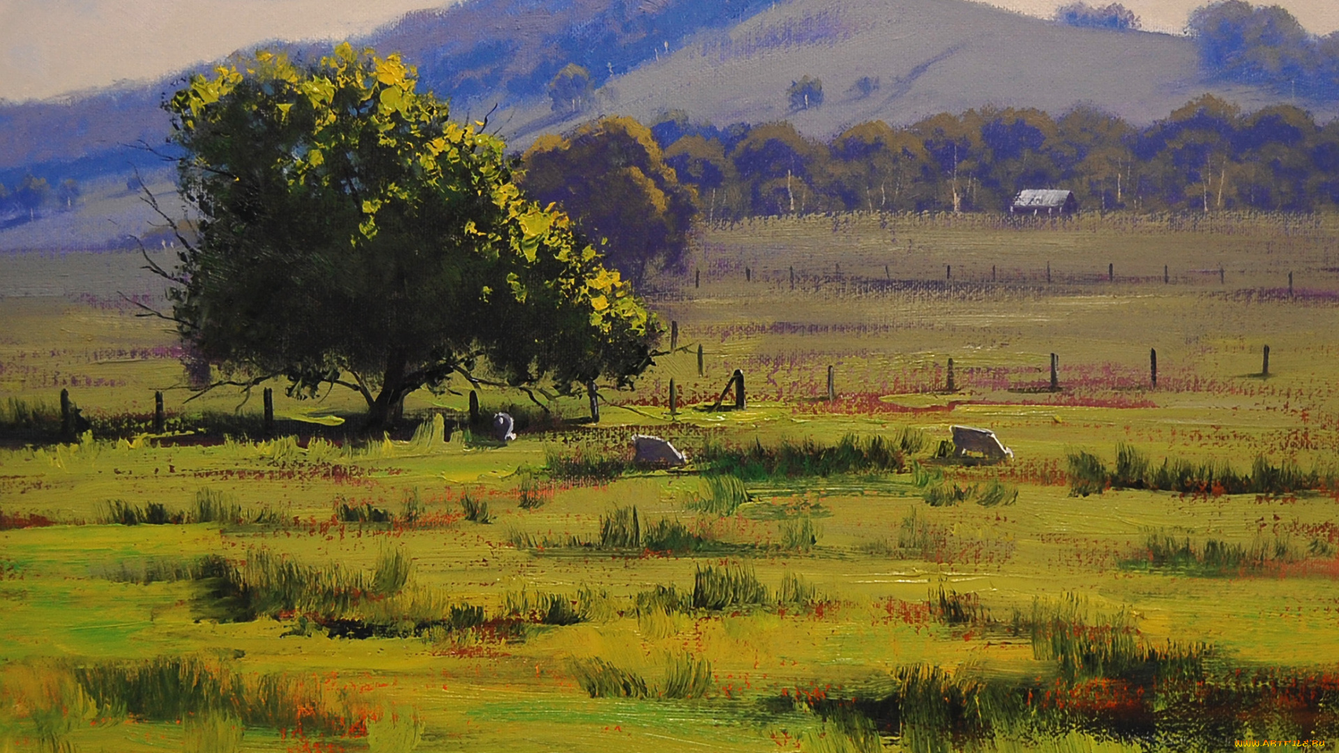 рисованные, graham, gercken, дерево, пастбище