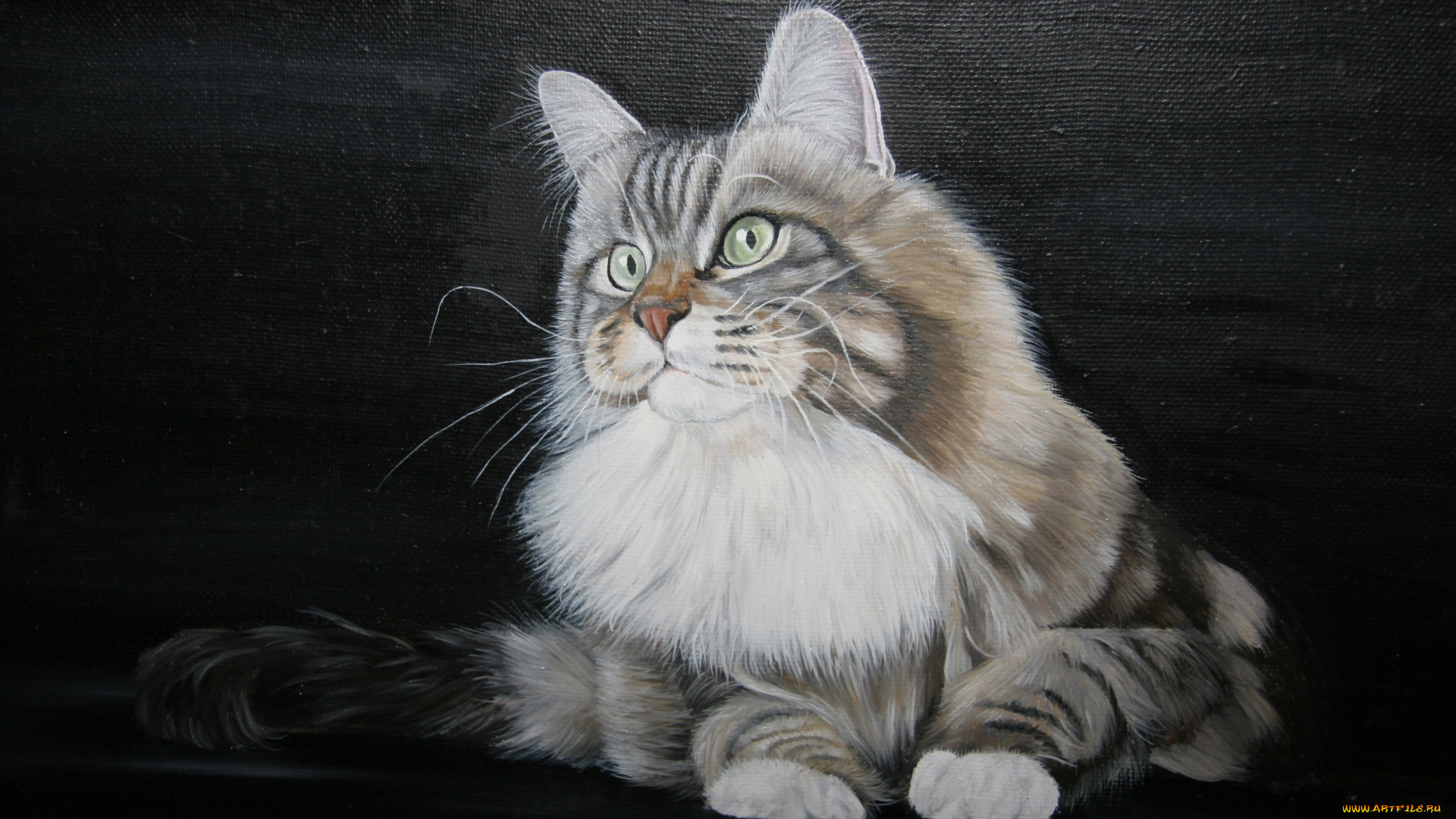 рисованные, животные, коты, кот, мария, емельянова