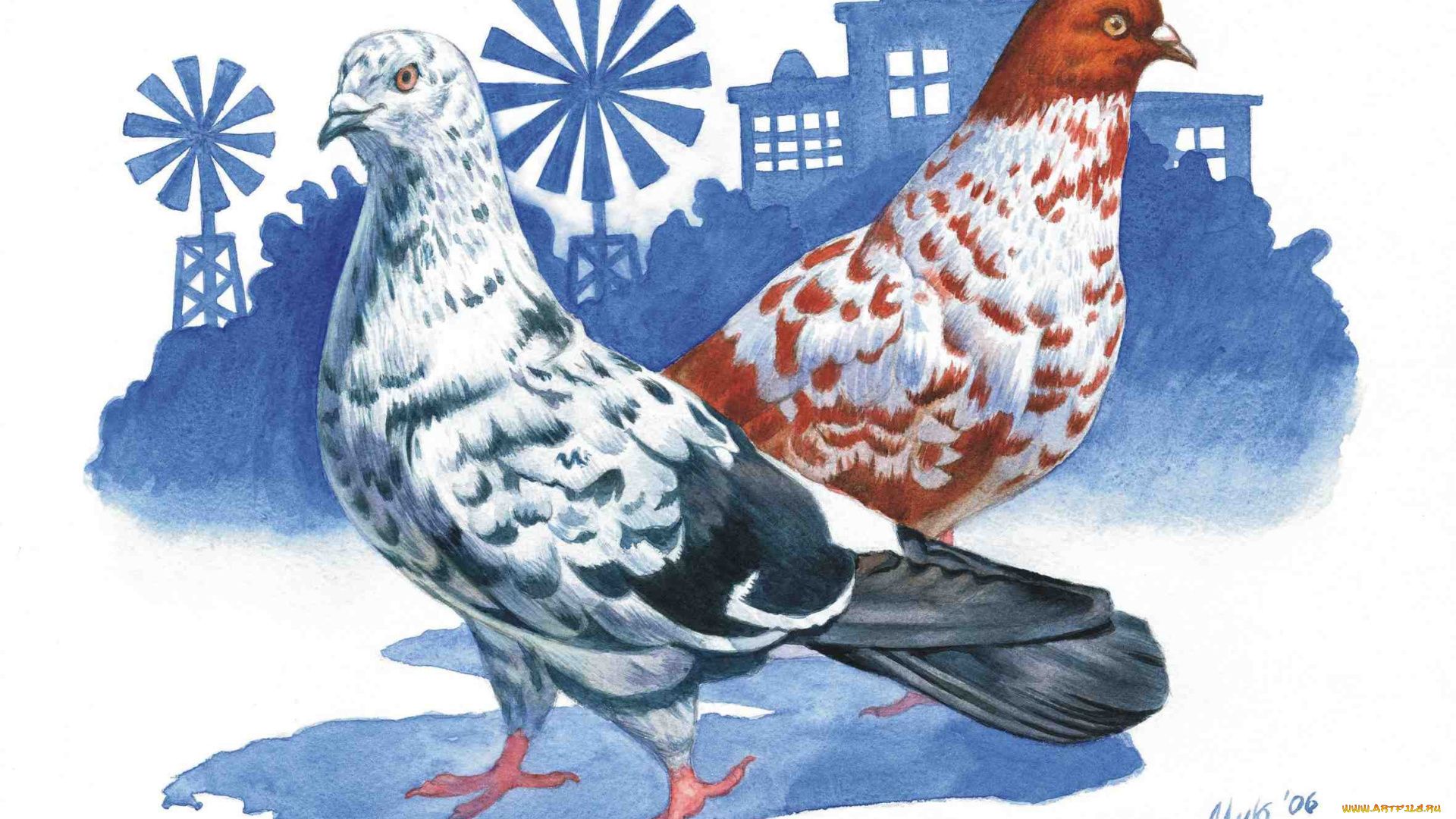 рисованные, животные, птицы, голуби