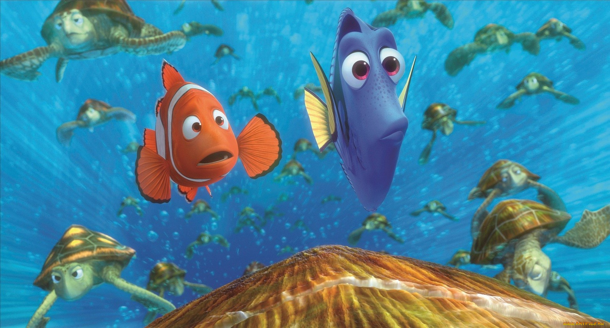 finding, nemo, мультфильмы, в, поисках, немо