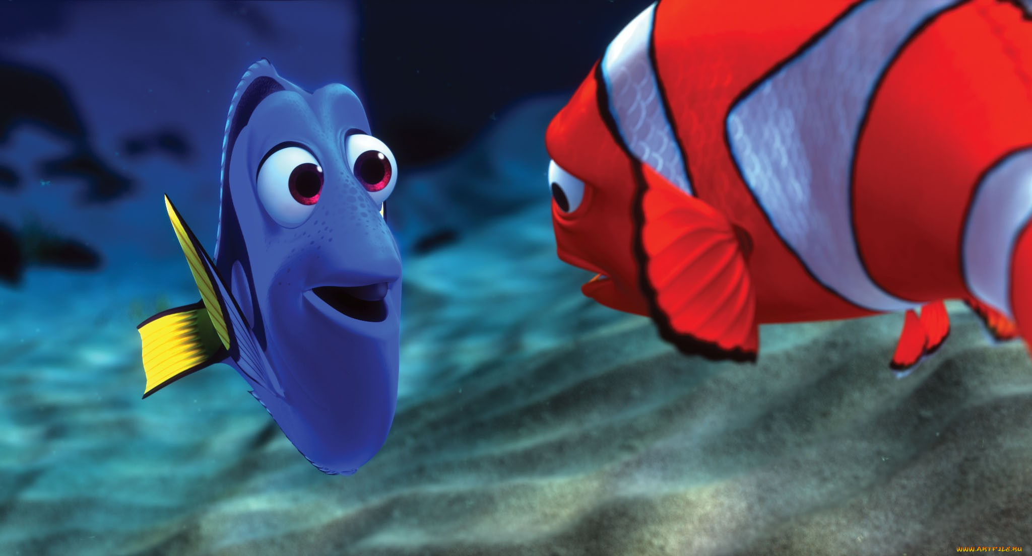 finding, nemo, мультфильмы, в, поисках, немо