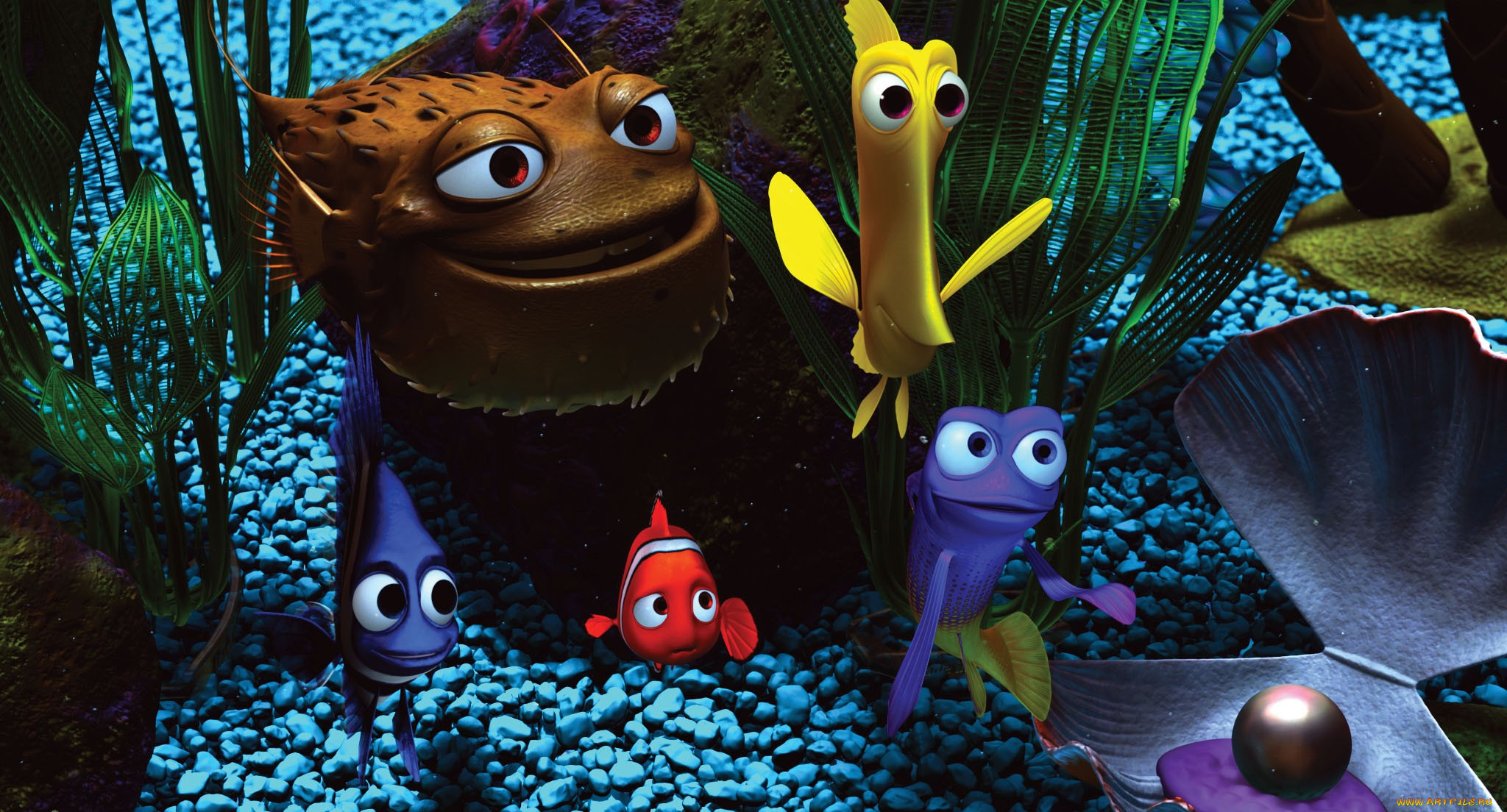 finding, nemo, мультфильмы, в, поисках, немо