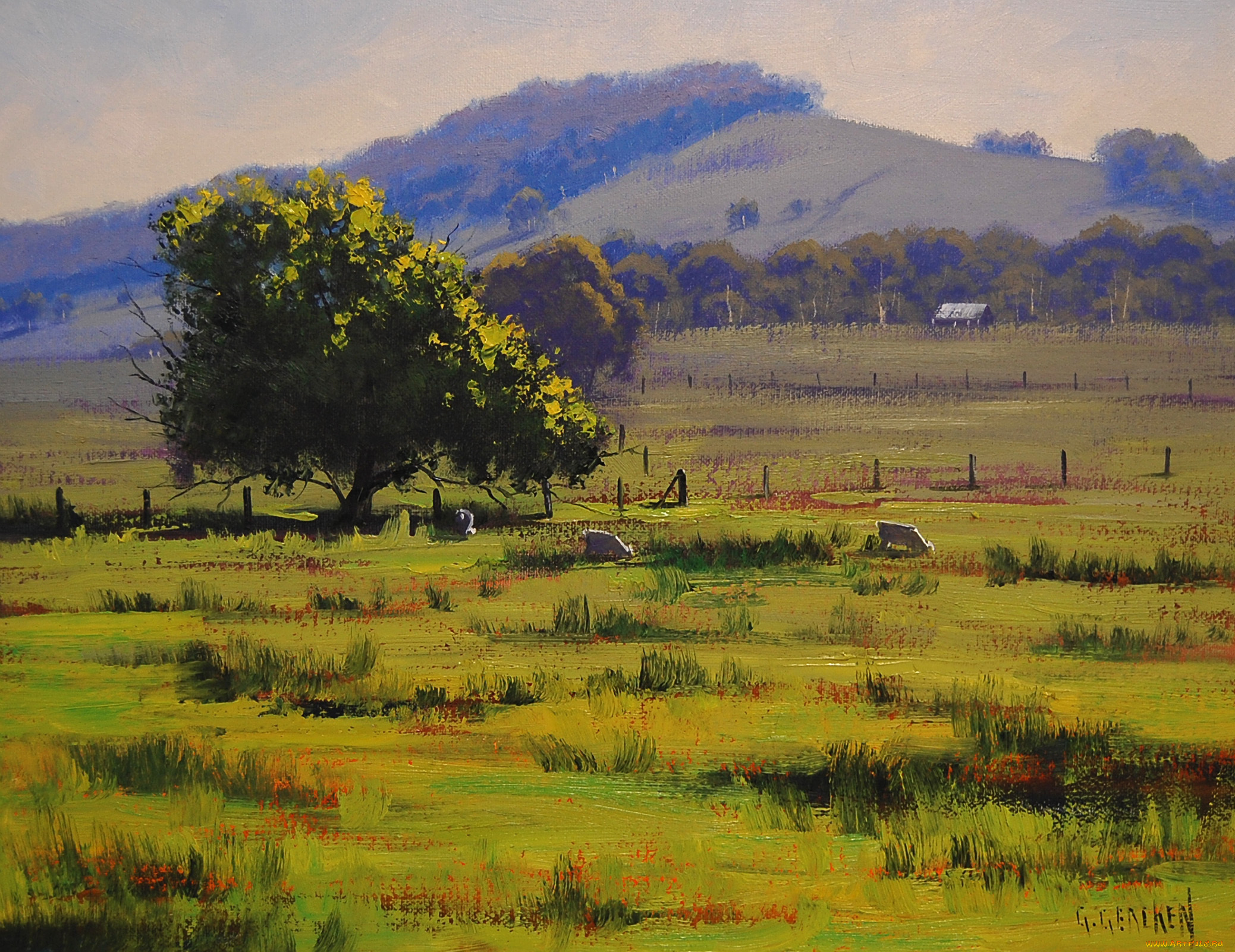 рисованные, graham, gercken, дерево, пастбище