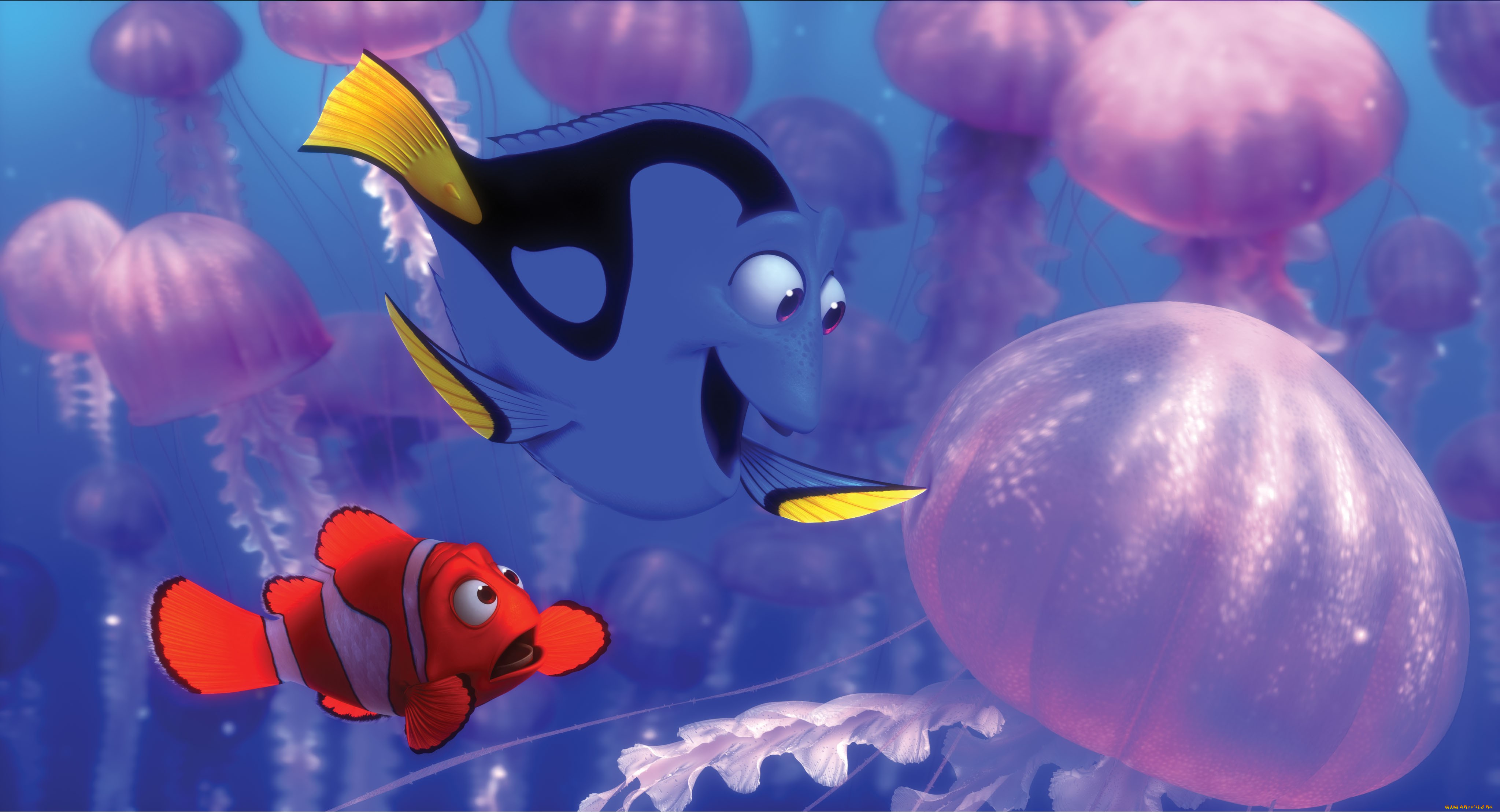 finding, nemo, мультфильмы, в, поисках, немо