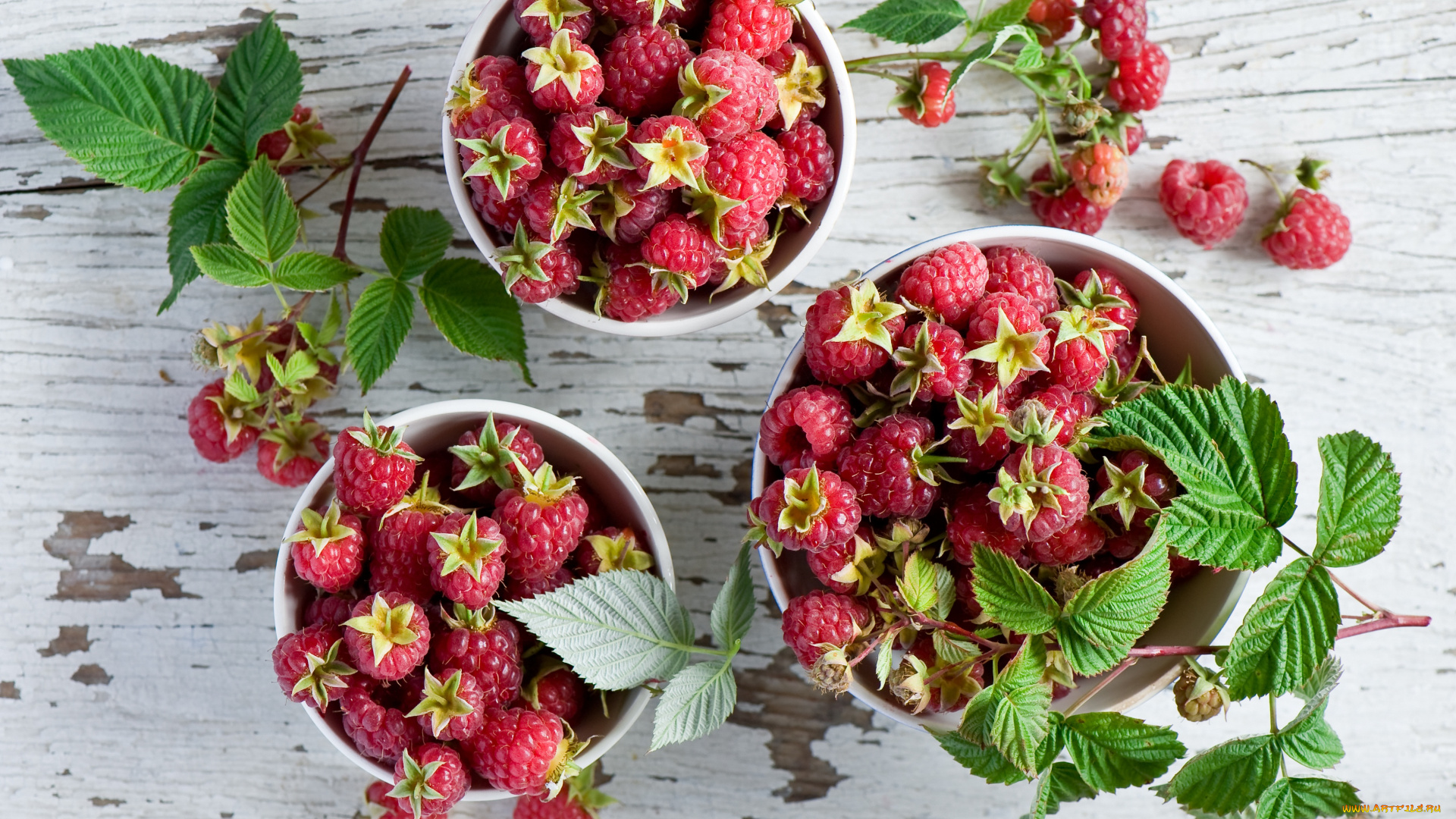 еда, малина, ягоды, листочки