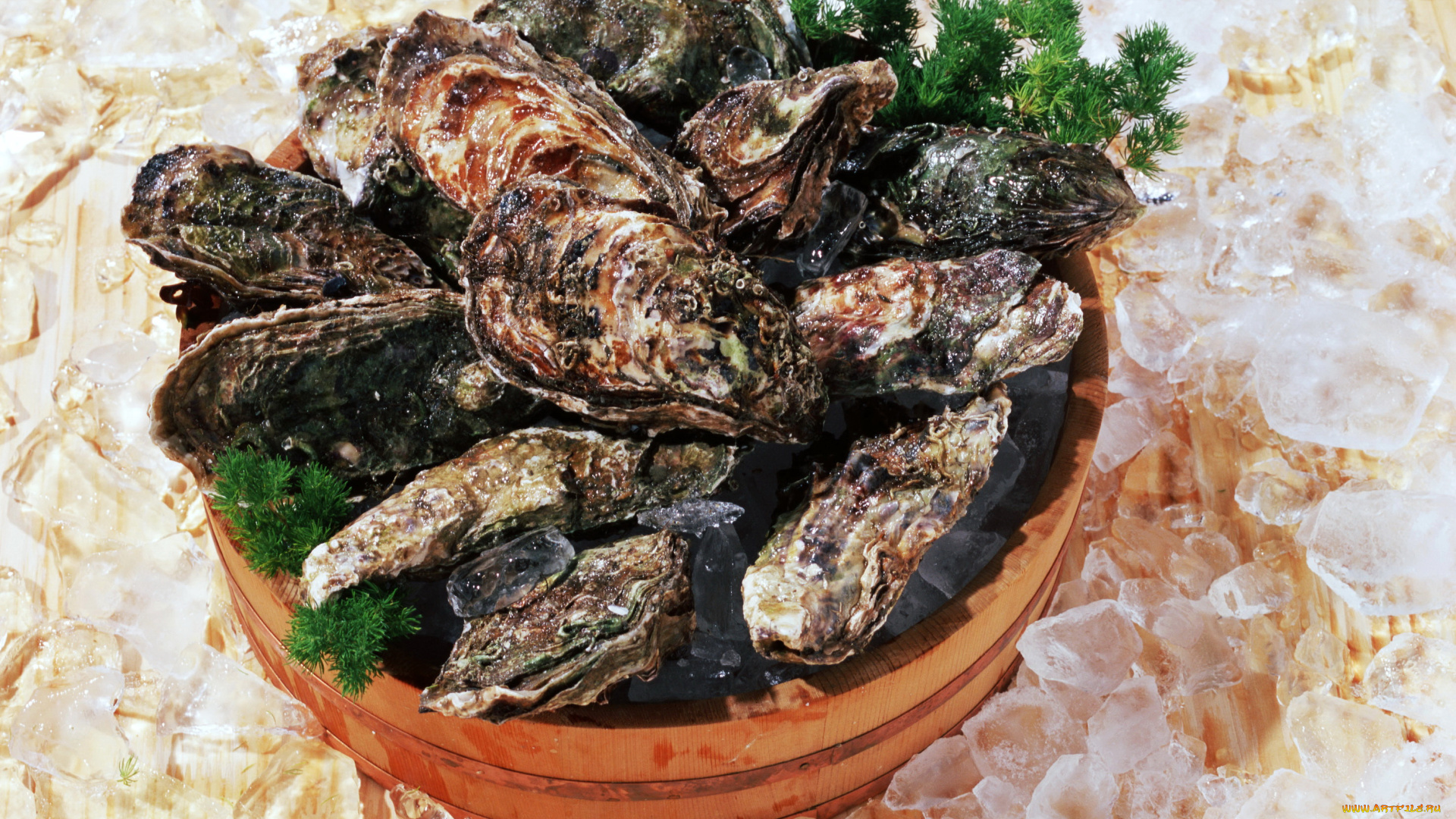 еда, рыба, , морепродукты, , суши, , роллы, лед, мидии, ракушки