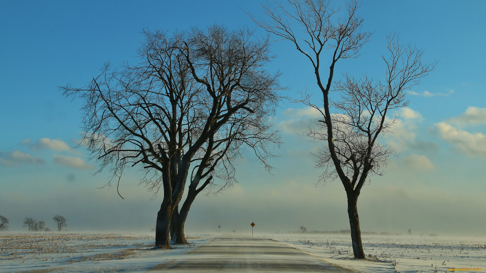 природа, дороги, зима, поземка, дорога, поле, деревья, снег