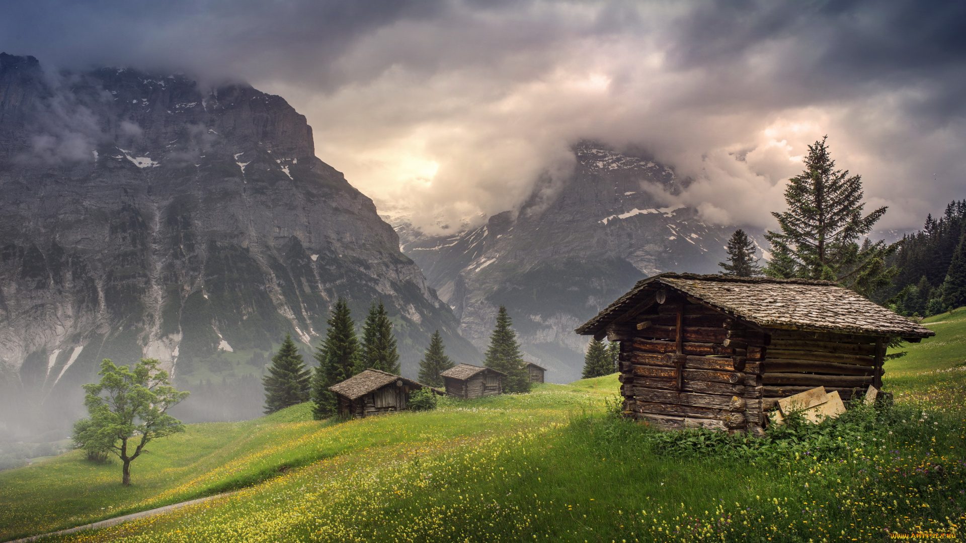 природа, горы, гриндельвальд, домики, туман, облако, цветы, долина, швейцария, в, кантоне, берн