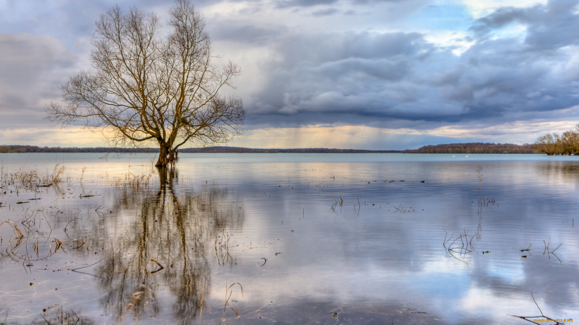 природа, реки, озера, отражение, облака, дерево, озеро, тучи
