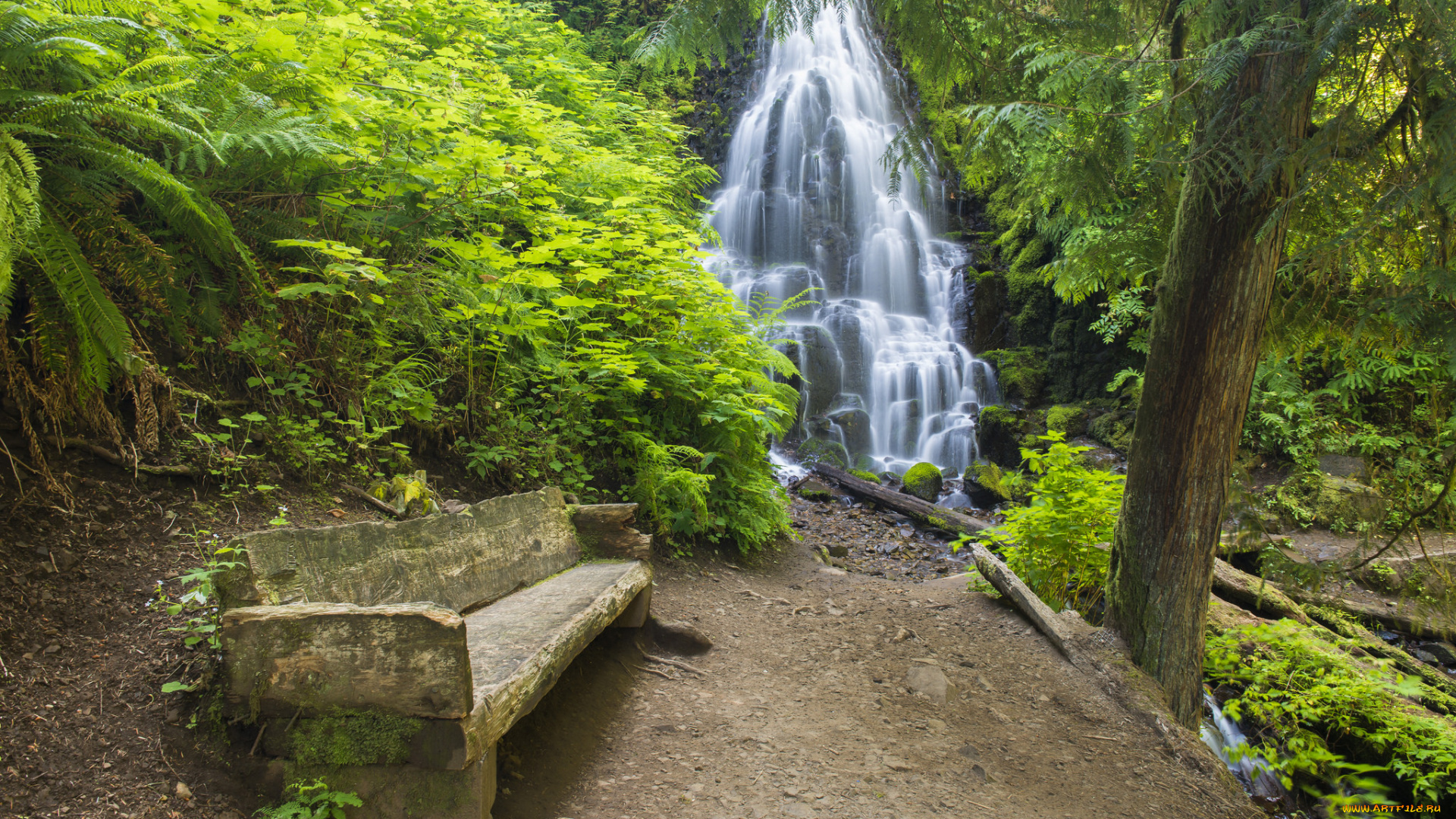 природа, водопады, скамья, заросли, водопад