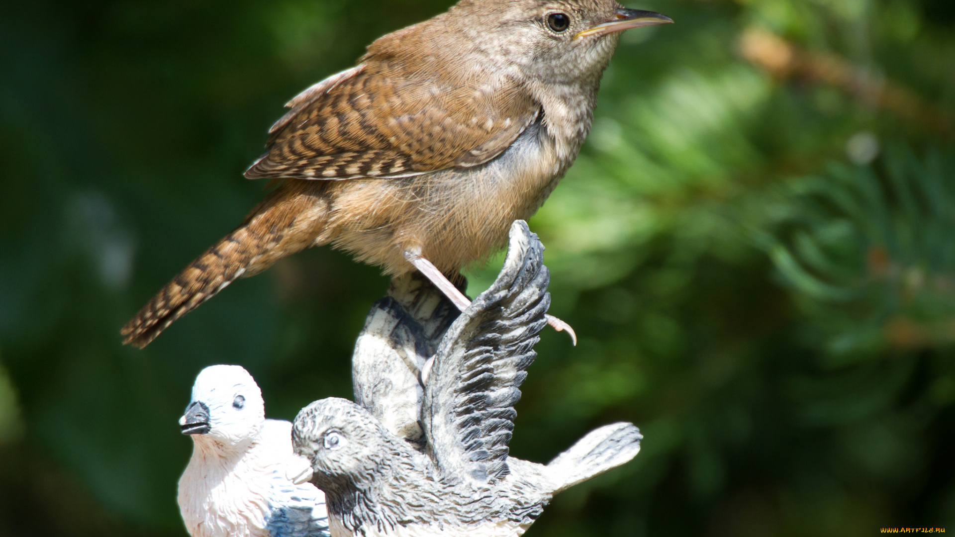 животные, птицы, фон, статуэтки, птички, птица