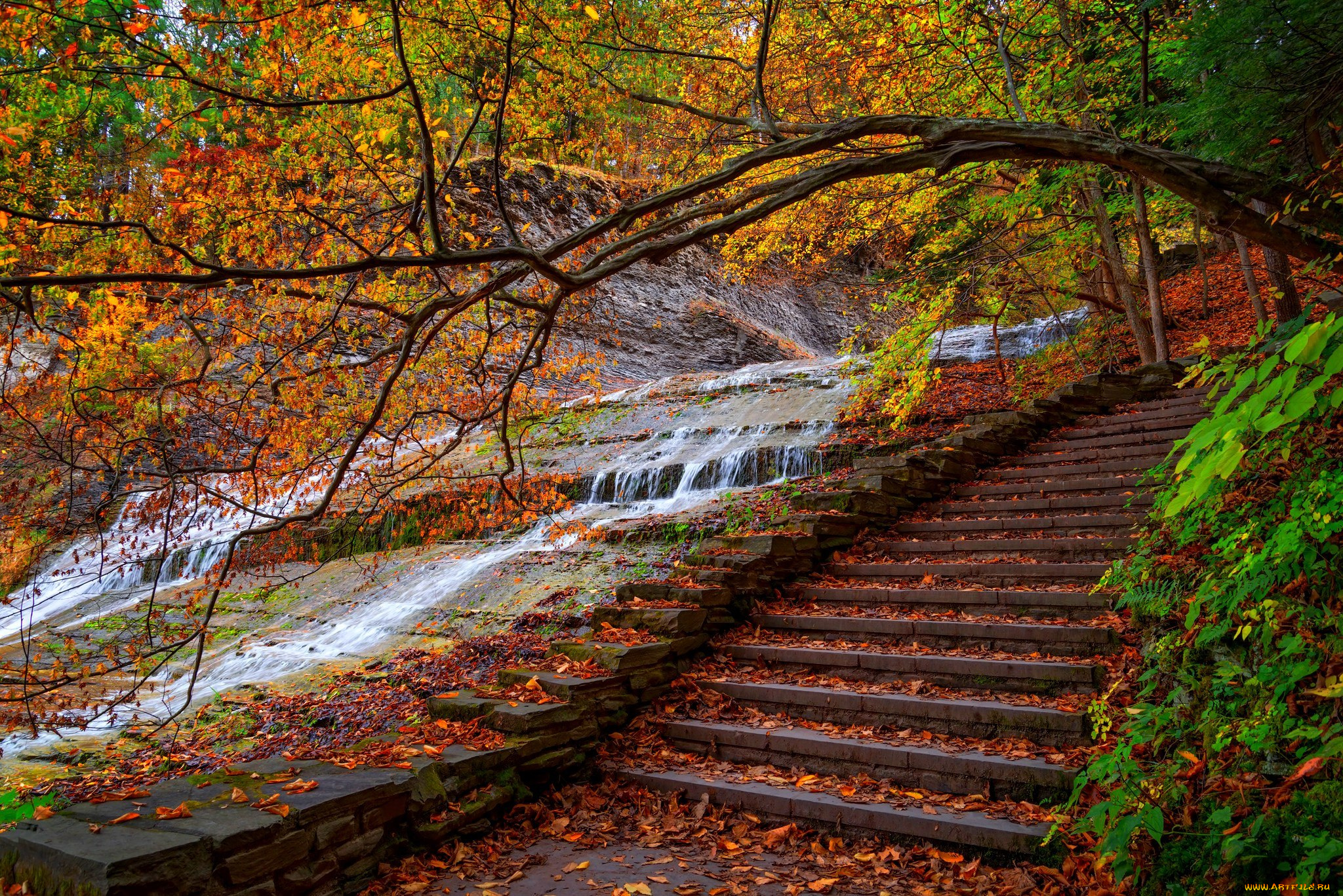 природа, парк, trees, forest, water, steps, park, листья, walk, colors, fall, autumn, шаги, горы, лес, leaves, colorful, деревья, осень, nature, вода, дорога