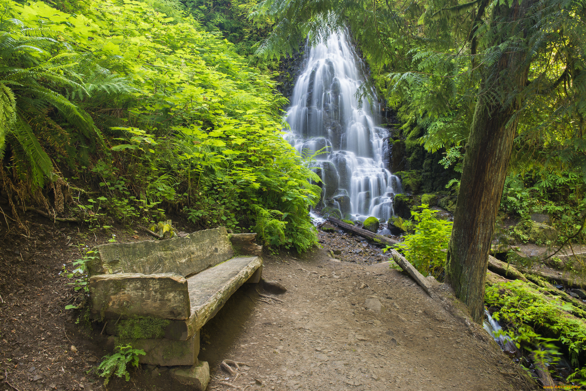 природа, водопады, скамья, заросли, водопад