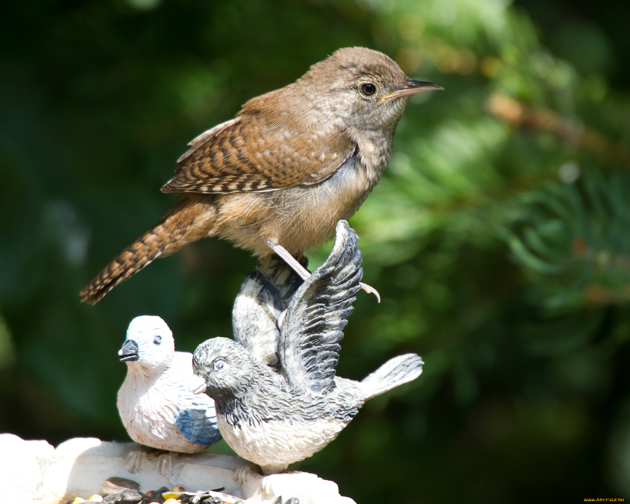 животные, птицы, фон, статуэтки, птички, птица
