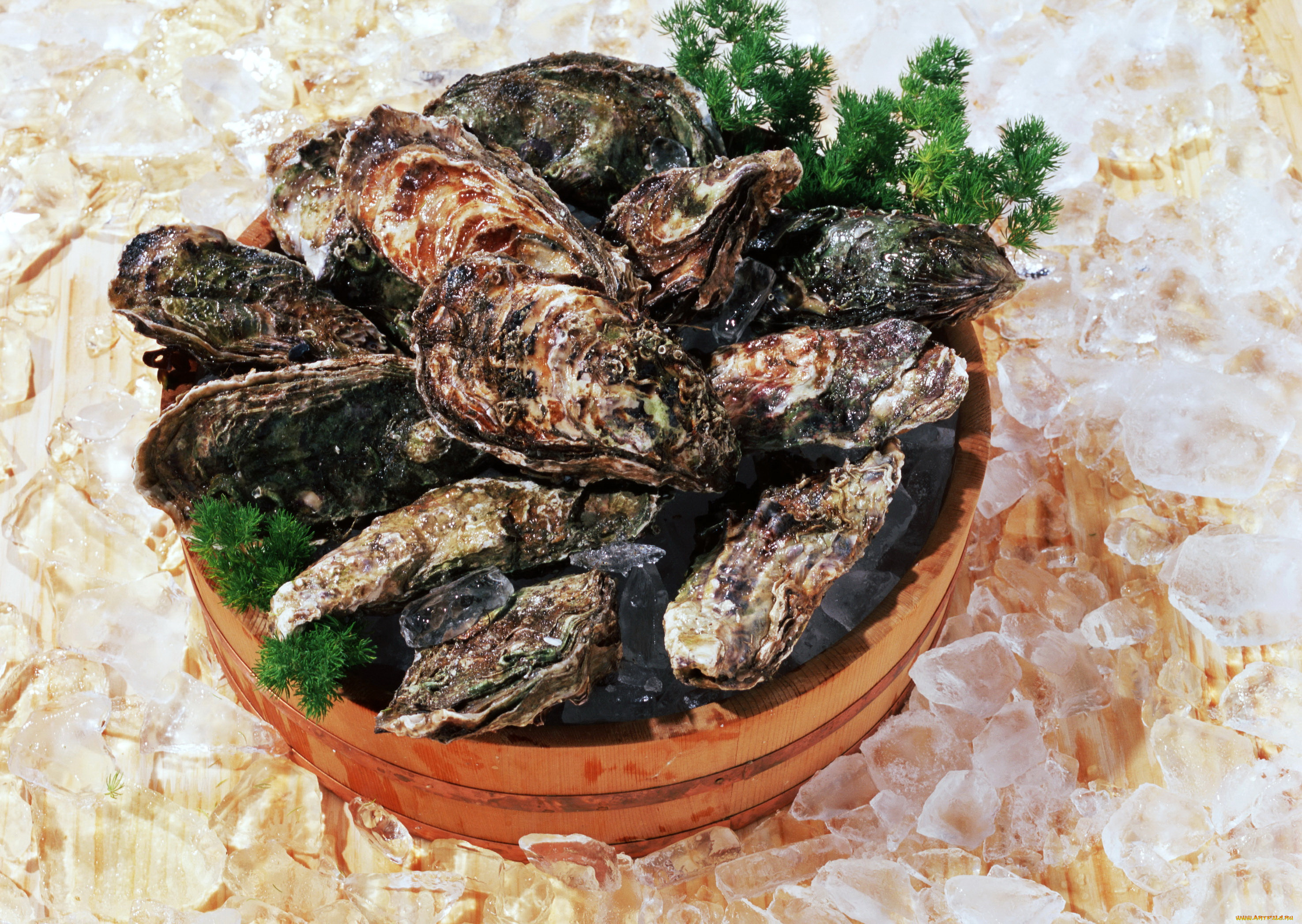 еда, рыба, , морепродукты, , суши, , роллы, лед, мидии, ракушки