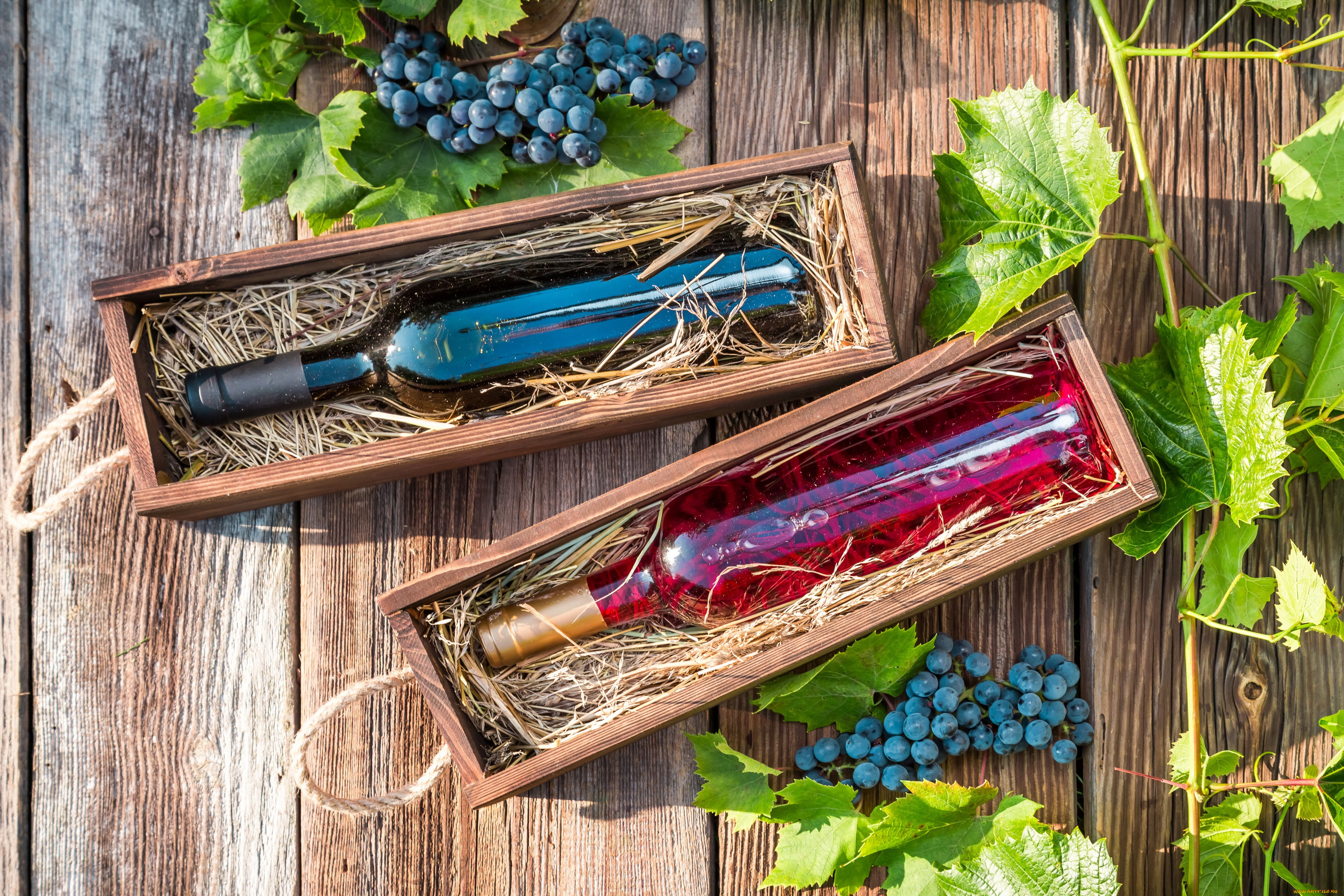 еда, напитки, , вино, ящик, бутылка, вино, гроздь, виноград