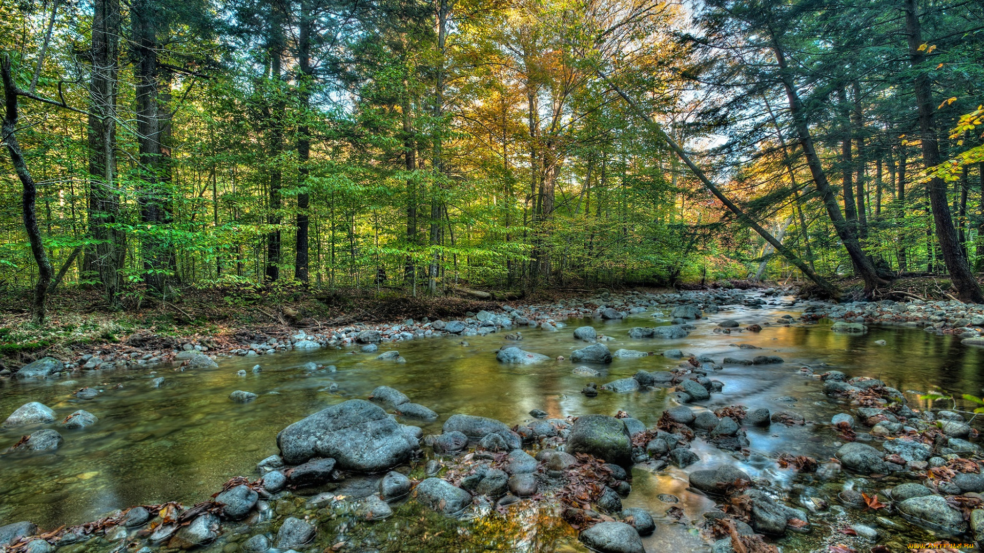 природа, реки, озера, осень, река, лес