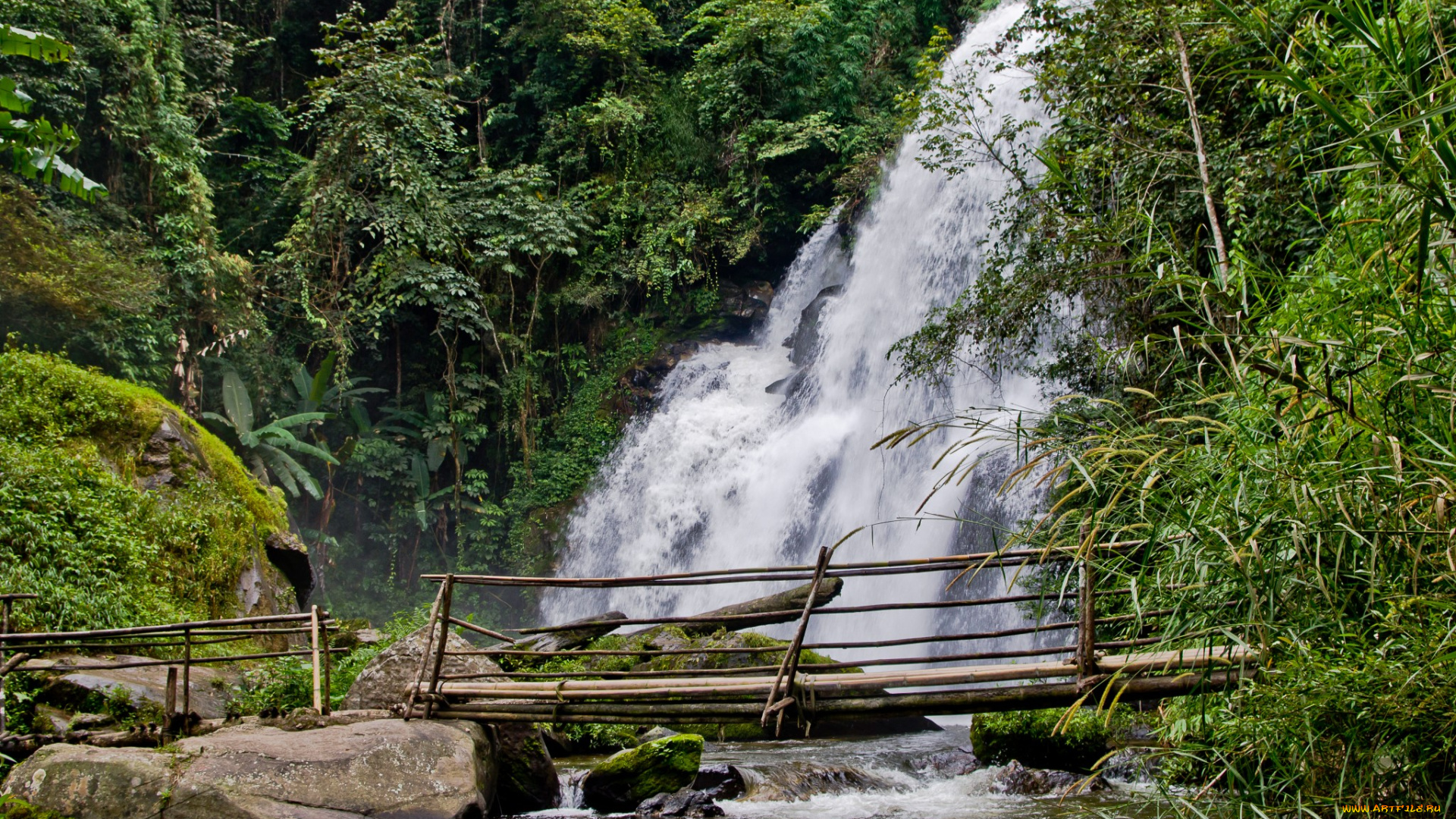 природа, водопады, водопад, лес, река