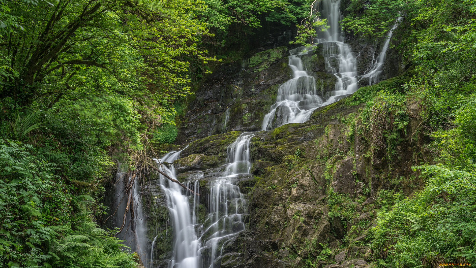 природа, водопады, водопад, река, лес