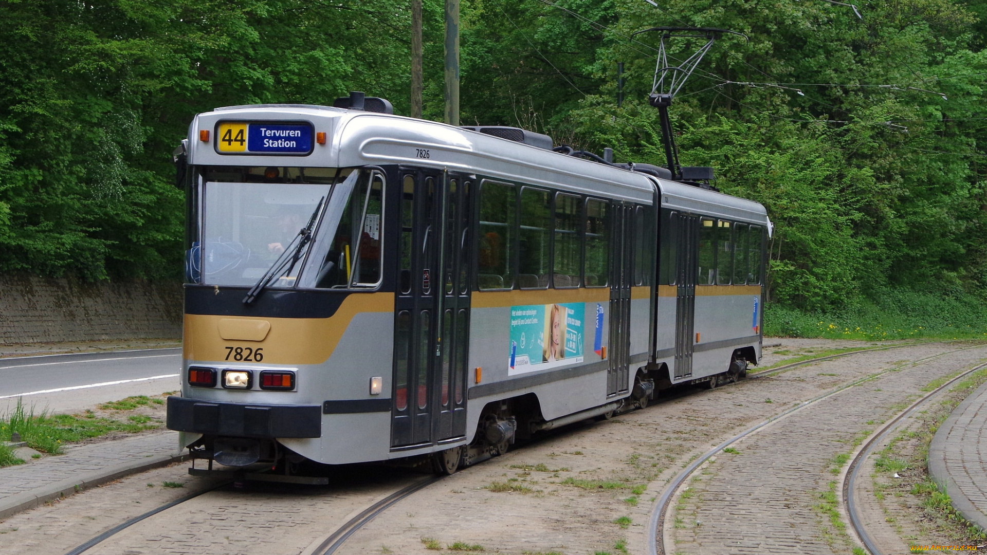 техника, трамваи, трамвай, рельсы, транспорт