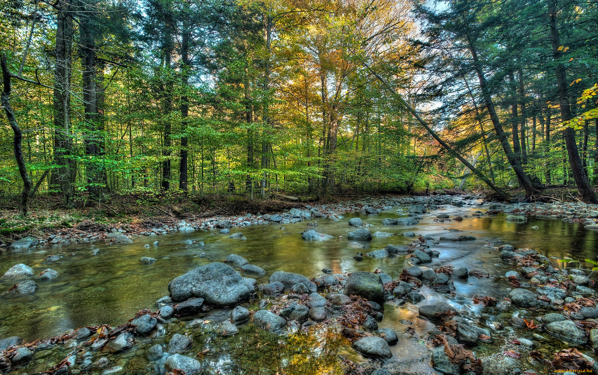природа, реки, озера, осень, река, лес