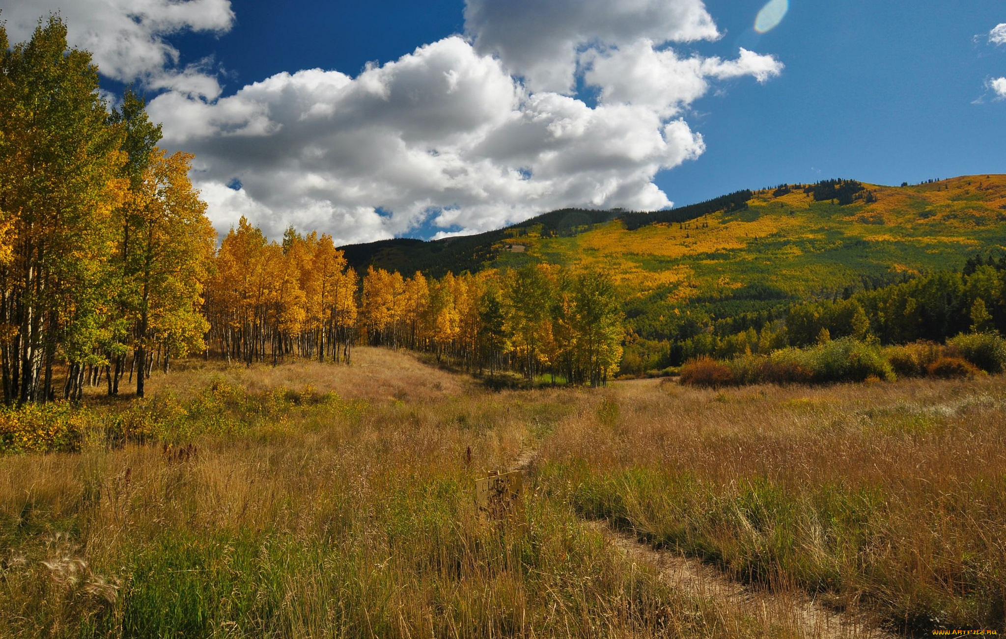 природа, дороги, поле, тропинка, лес, осень