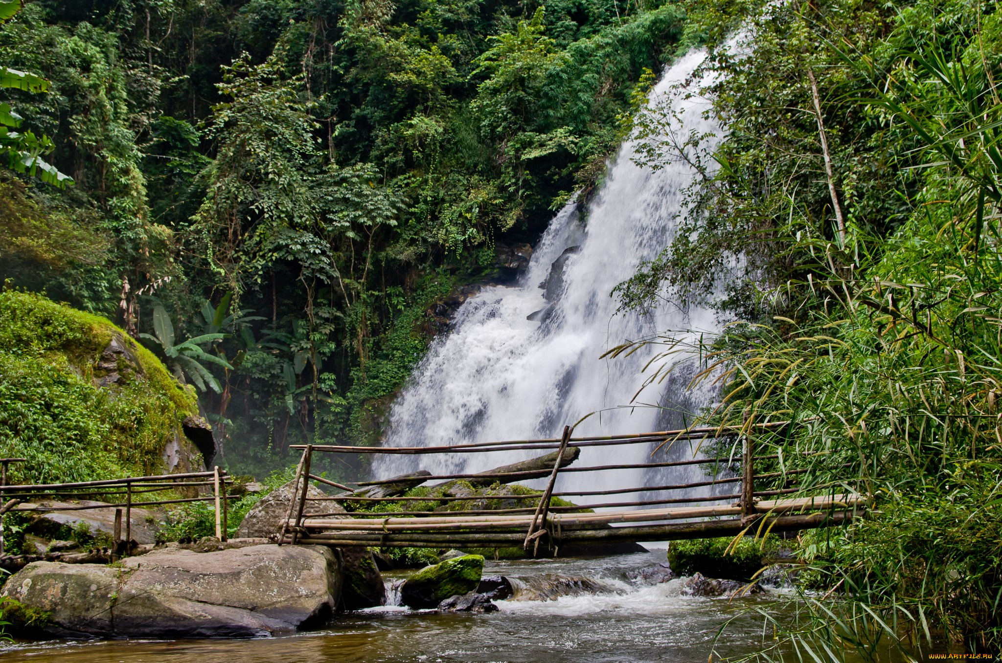природа, водопады, водопад, лес, река