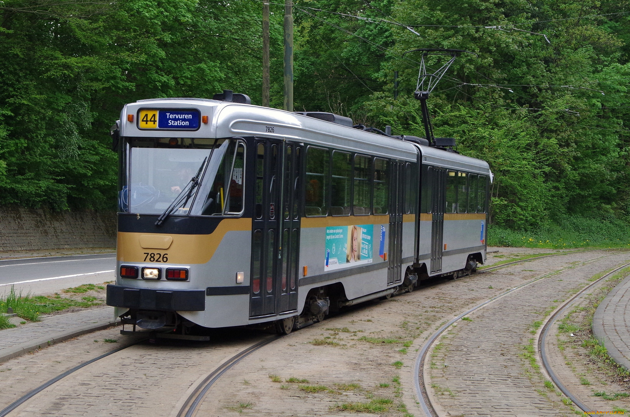 техника, трамваи, трамвай, рельсы, транспорт