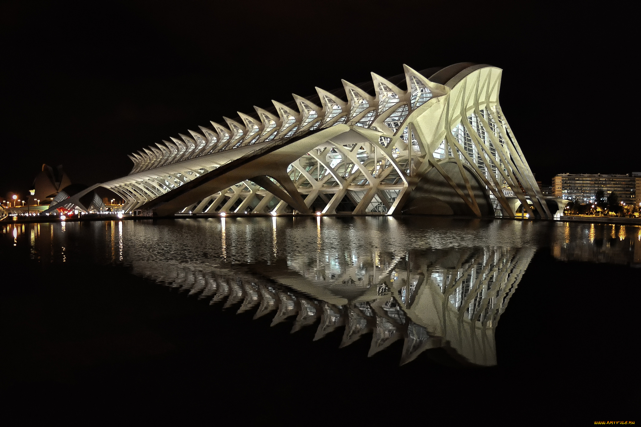 museu, de, les, ci&, 232, ncies, pr&, 237, ncep, felip, города, -, памятники, , скульптуры, , арт-объекты, ночь, музей