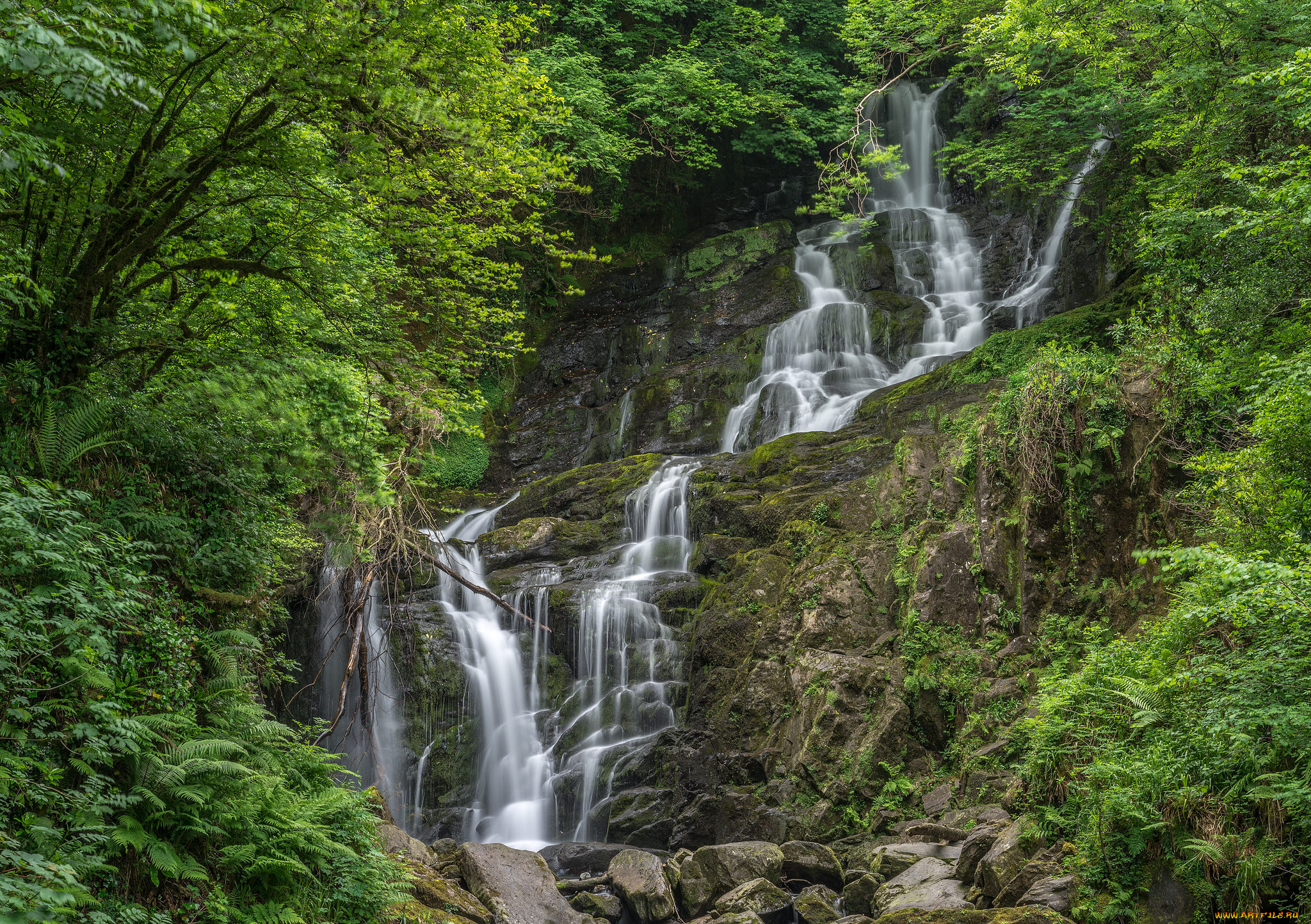 природа, водопады, водопад, река, лес