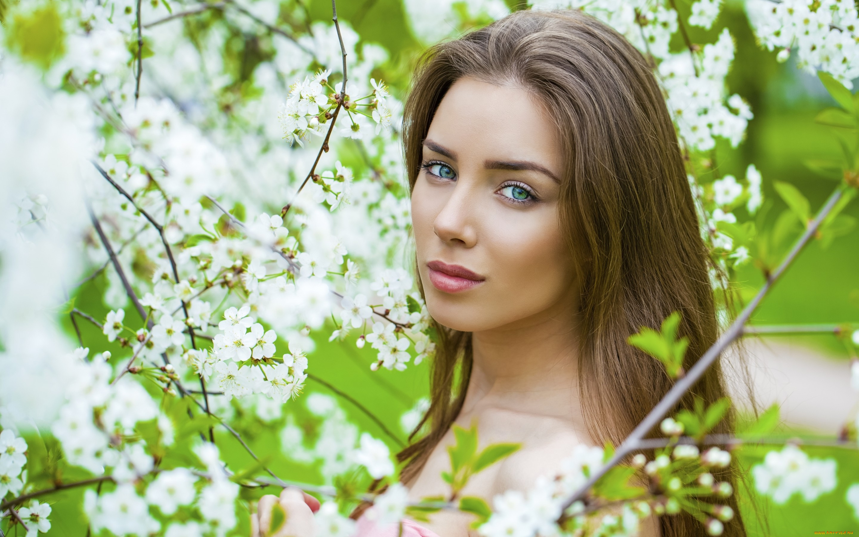 девушки, -unsort, , лица, , портреты, волосы, портрет, цветение, лицо, весна, шатенка