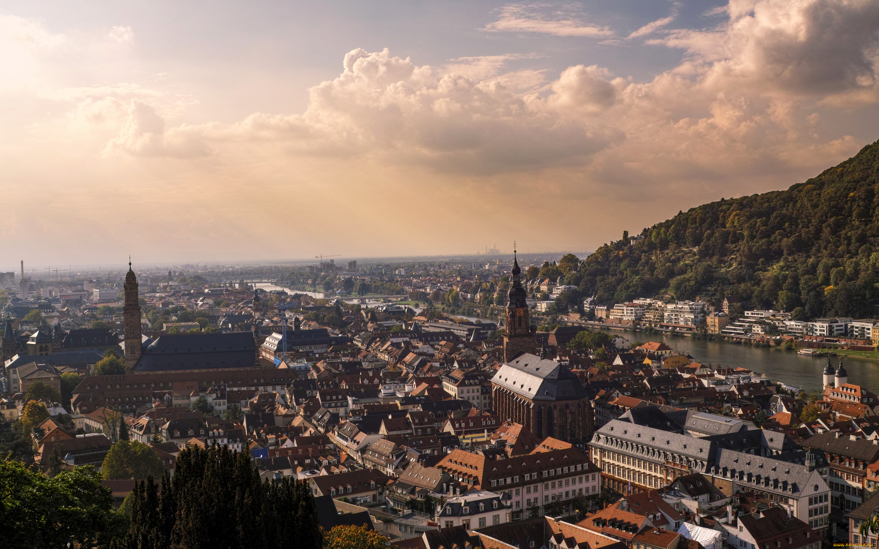 города, -, панорамы, германия, heidelberg, дома, река, панорама, облака