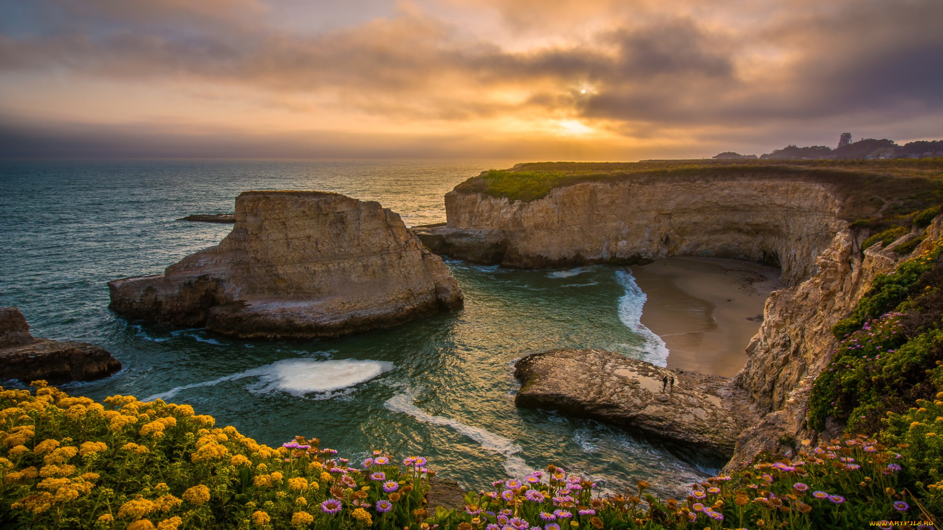 природа, побережье, бухта, закат, цветы, скалы