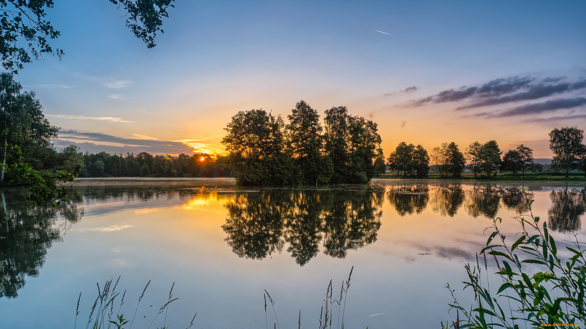 природа, реки, озера, река, лес