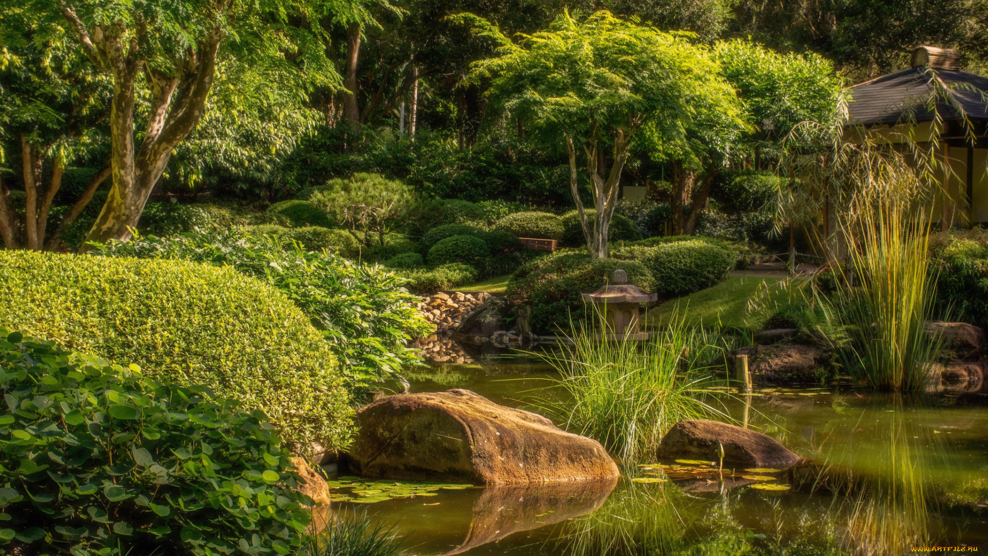 природа, реки, озера, река, лес