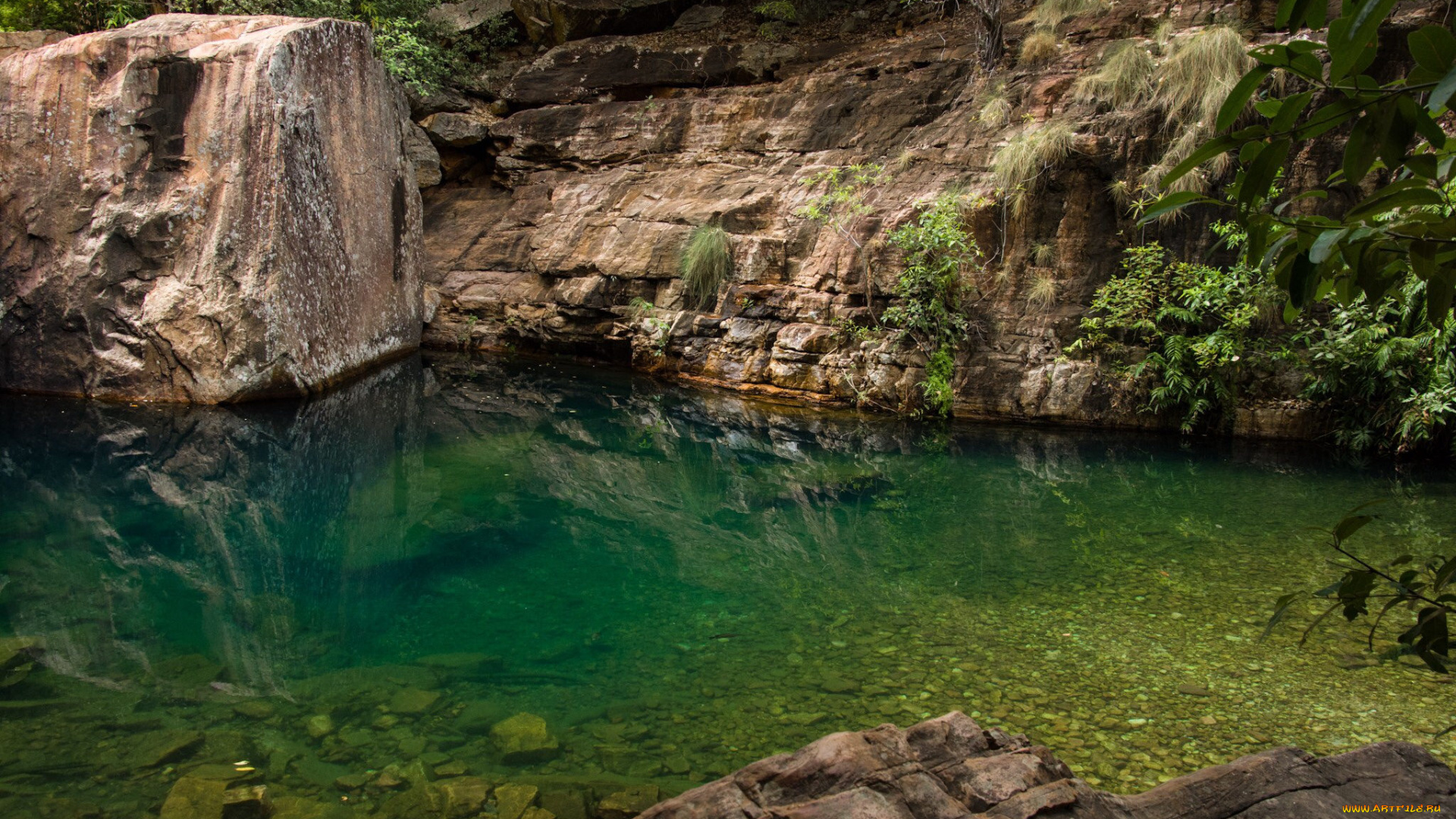 природа, реки, озера, река, лес