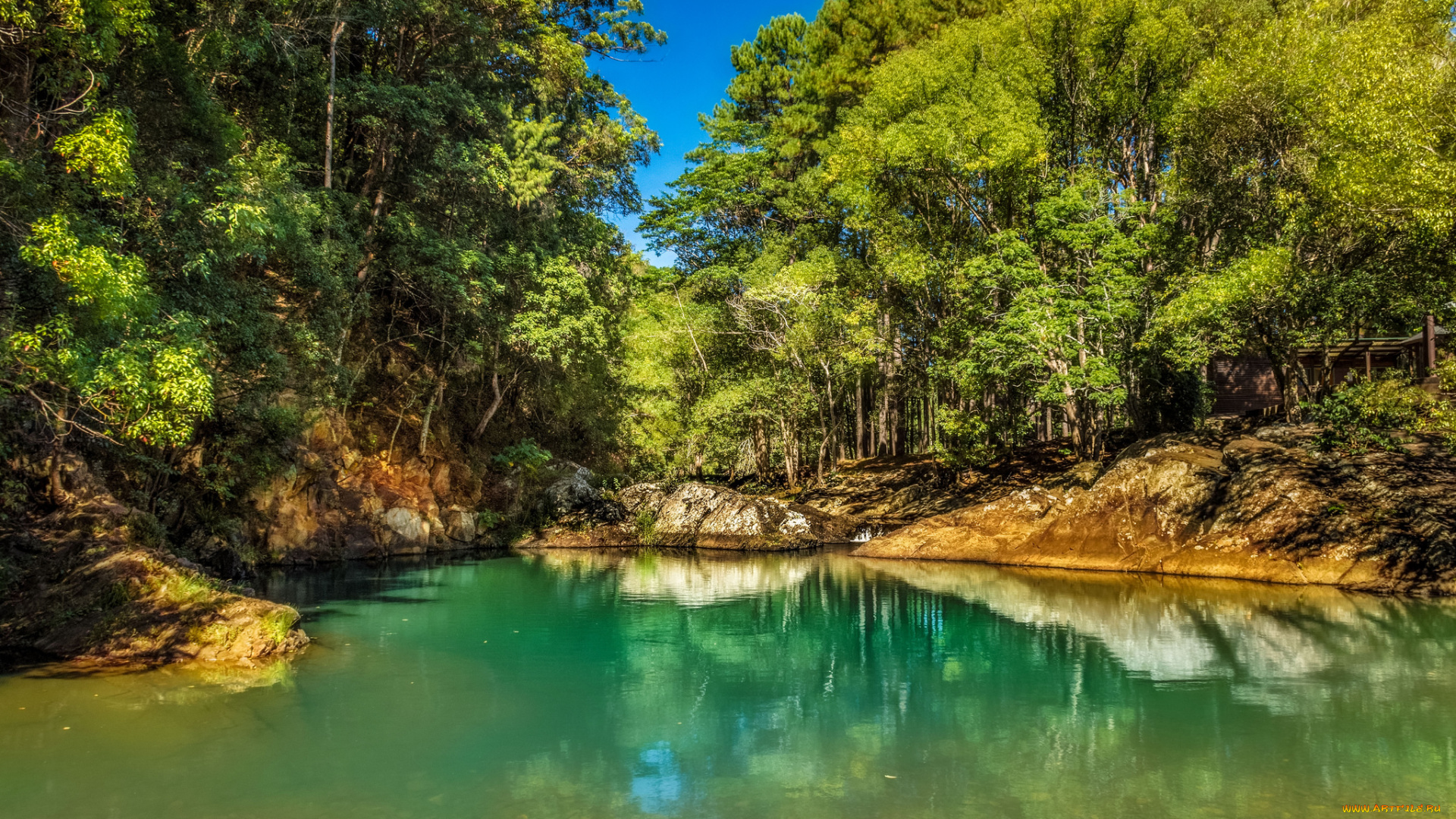 природа, реки, озера, река, лес