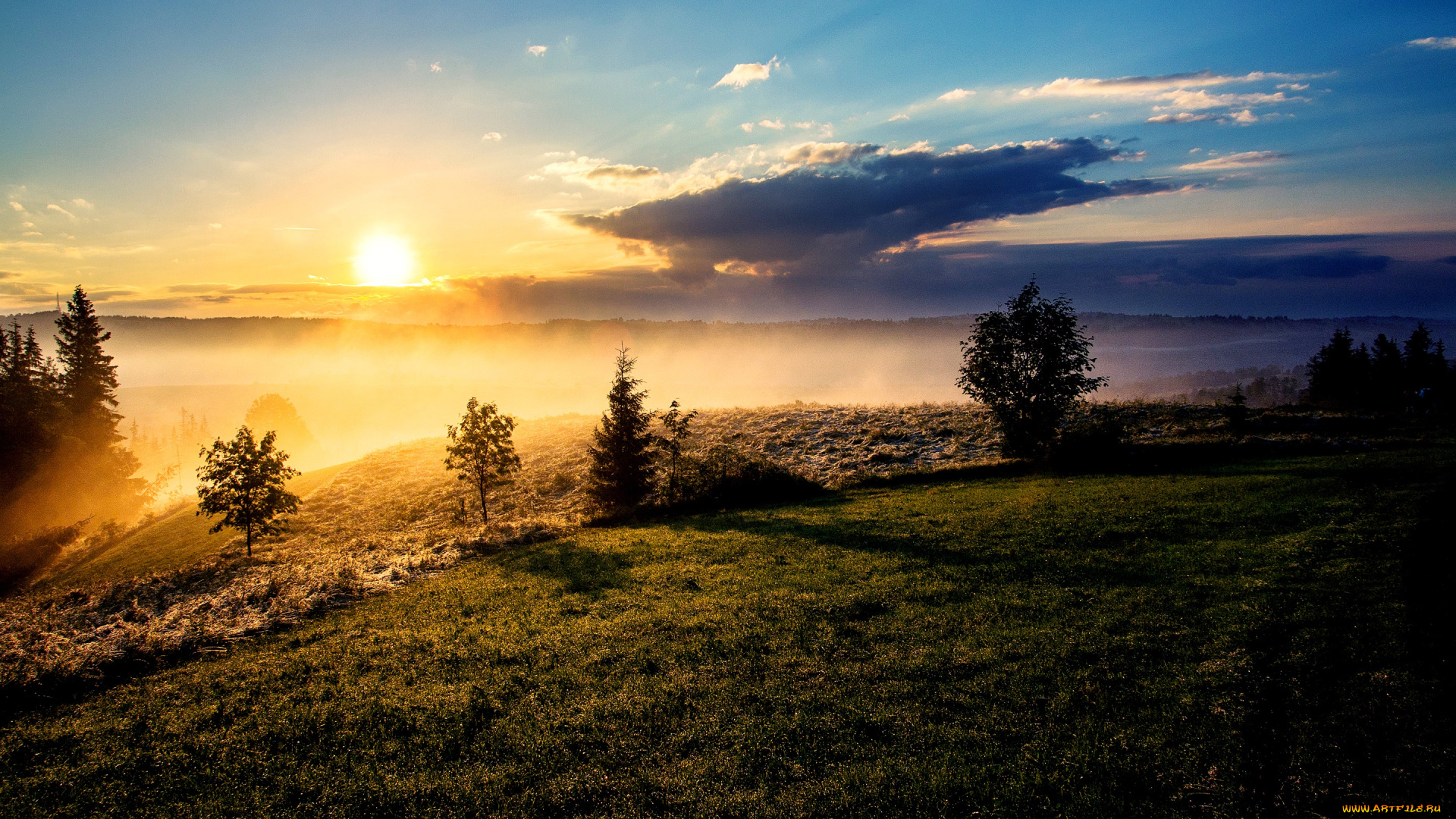 природа, восходы, закаты, солнце, туман, склон, утро, облака, деревья