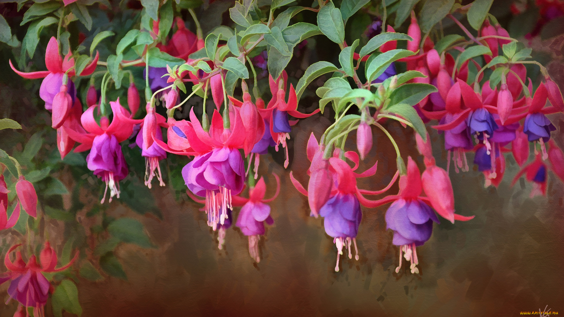рисованное, цветы, фуксия, ветки, текстура