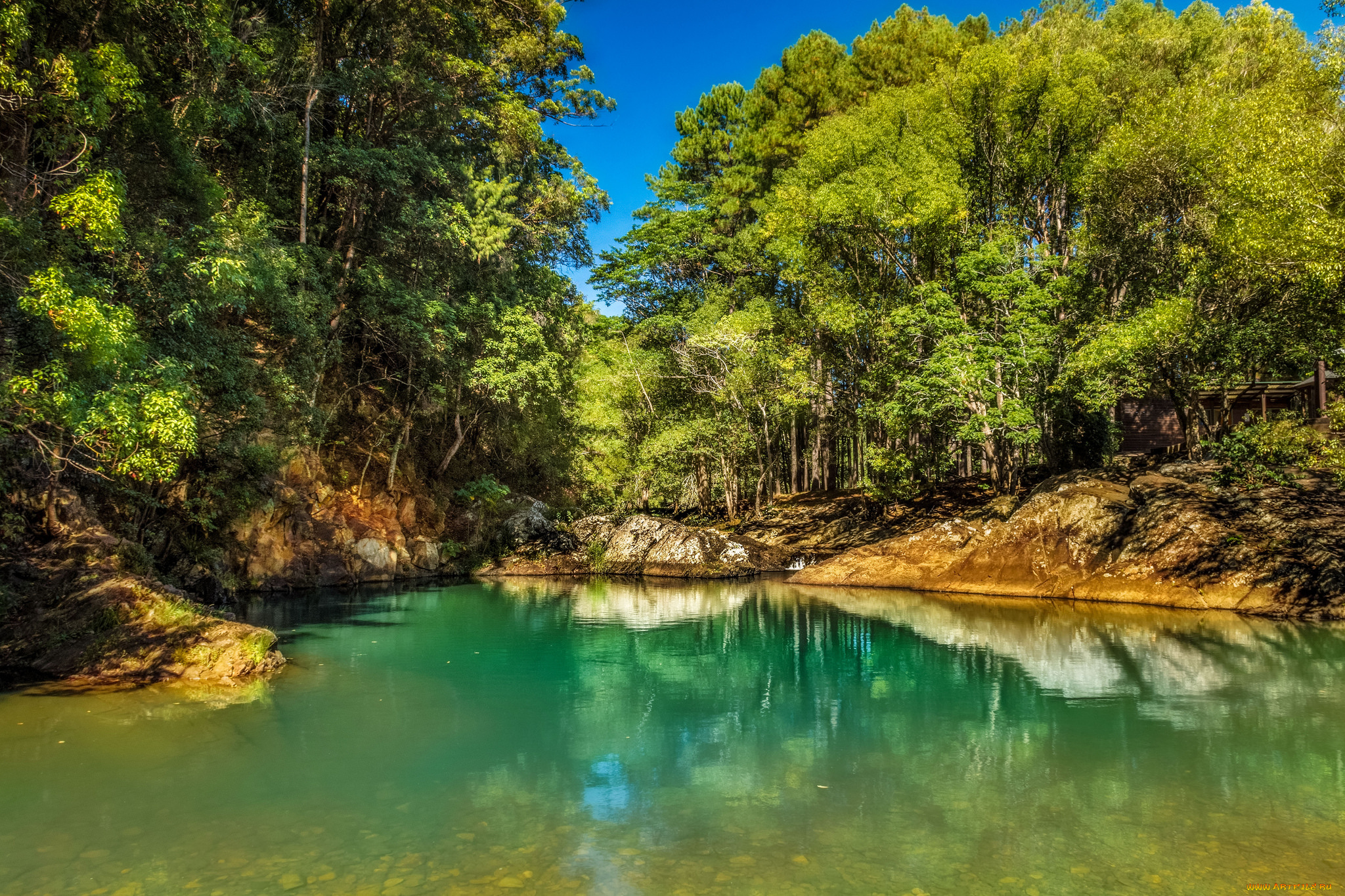 природа, реки, озера, река, лес